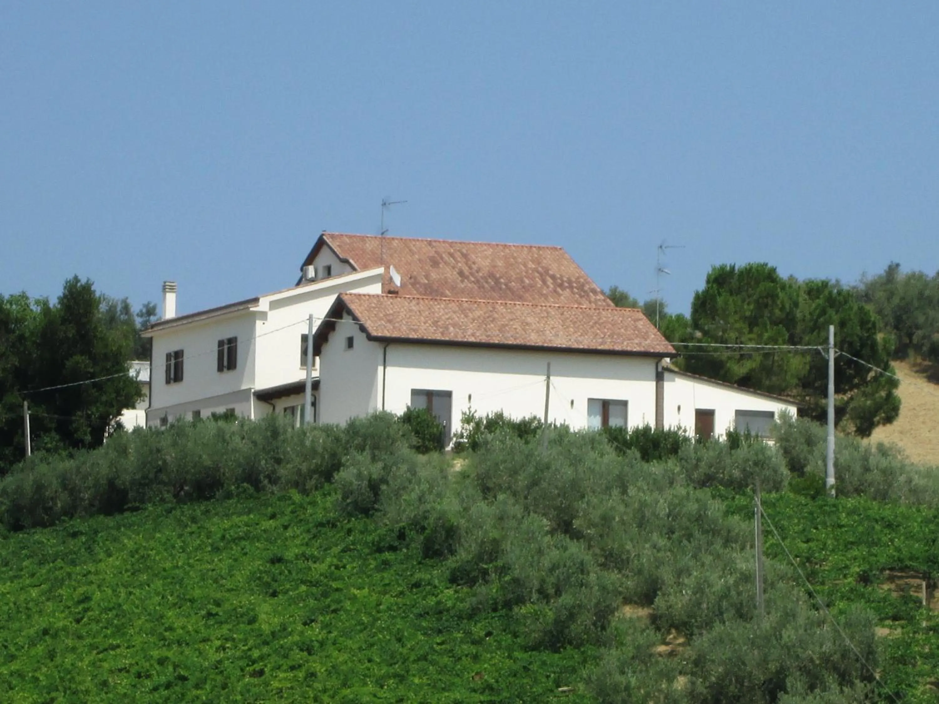 Property building in Cantina Loft