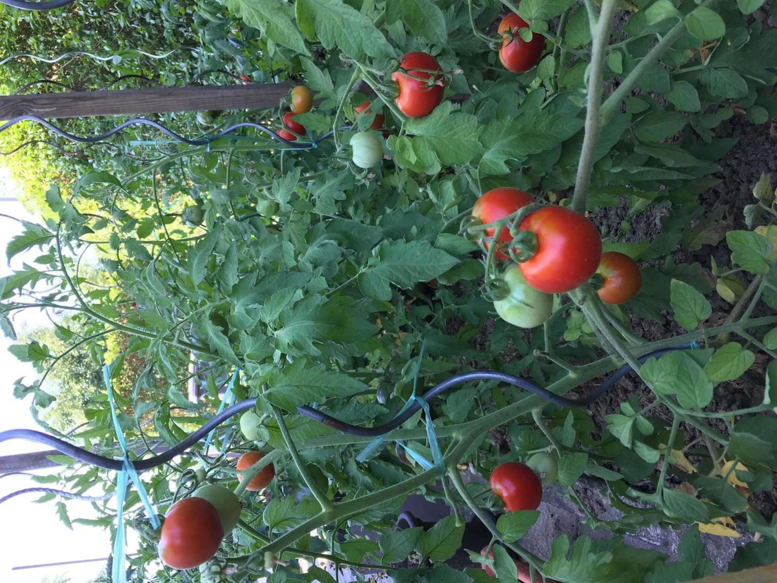 Other in ibis Strasbourg Sud La Vigie