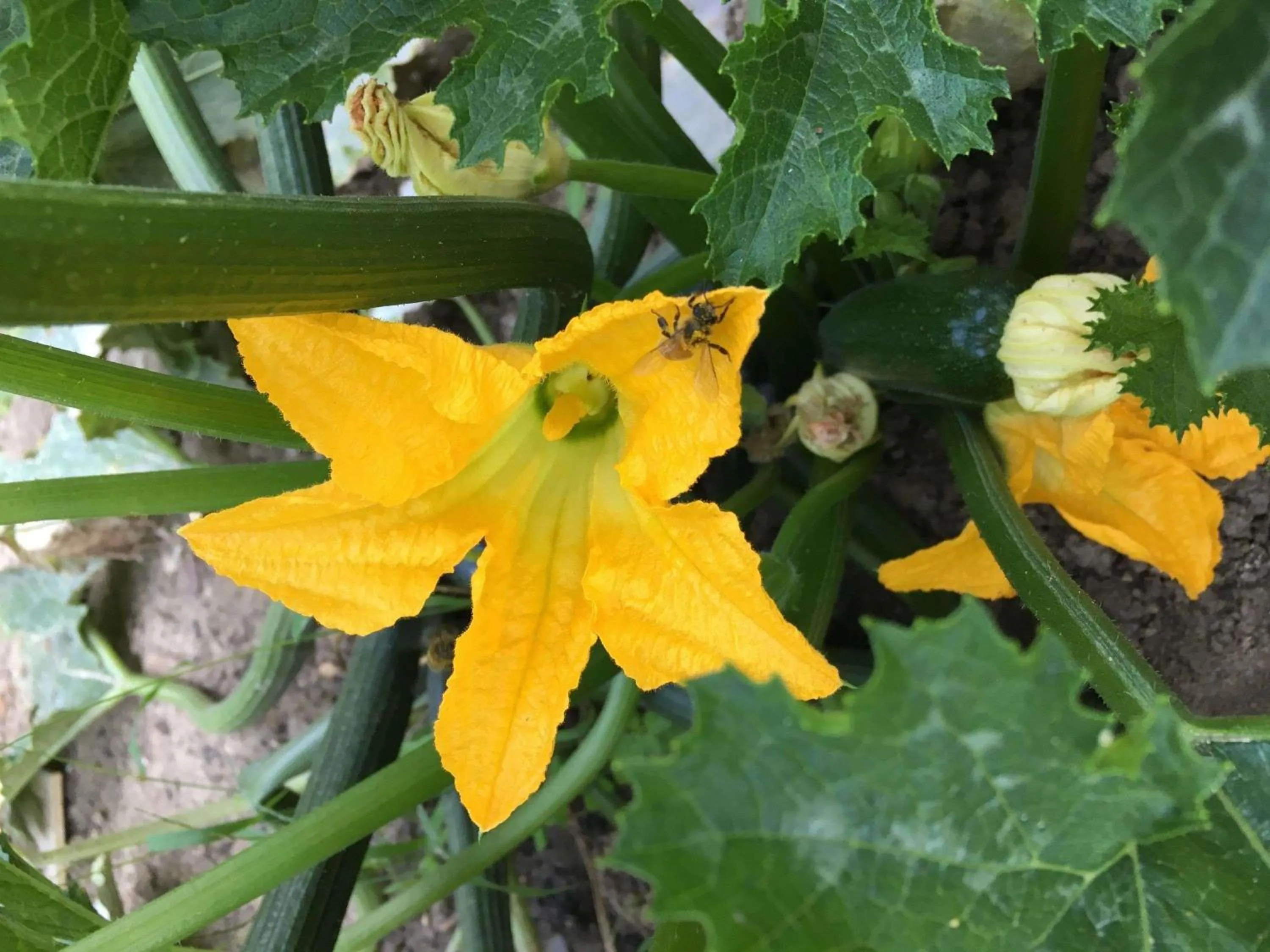 Other in ibis Strasbourg Sud La Vigie