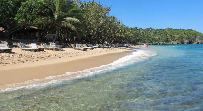 Tropical Luxury Dreams