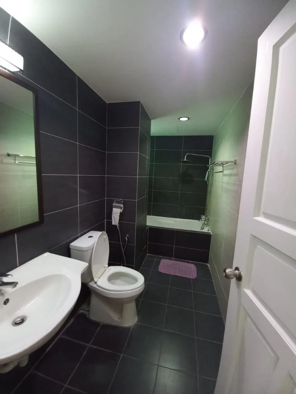 Bathroom in K. Riverfront apartment