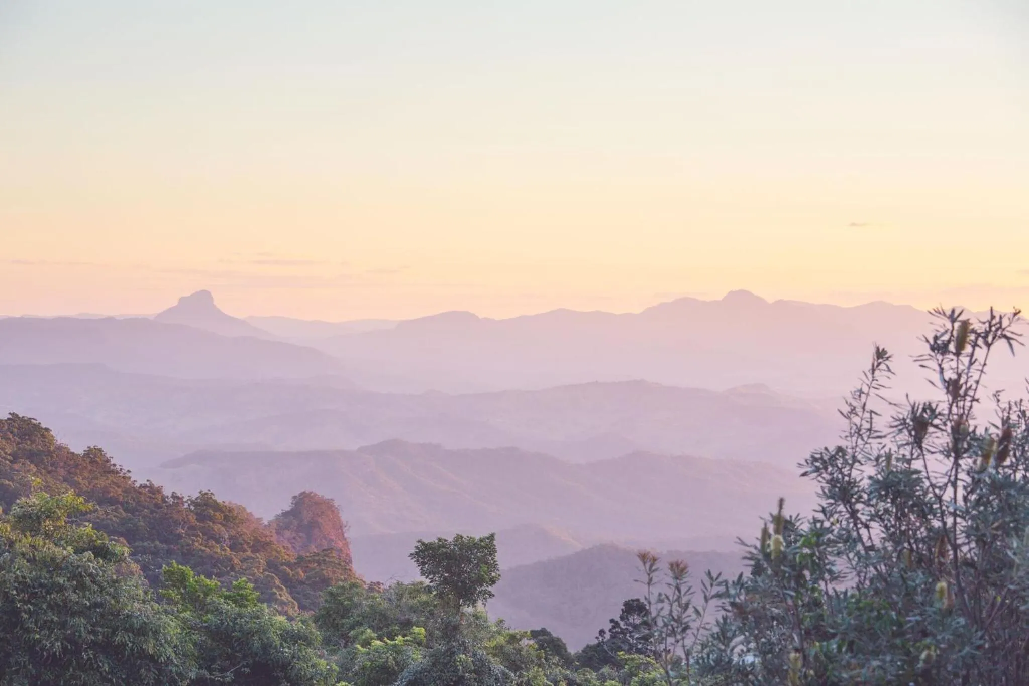 Natural landscape in Iconic Kirra Beach Resort
