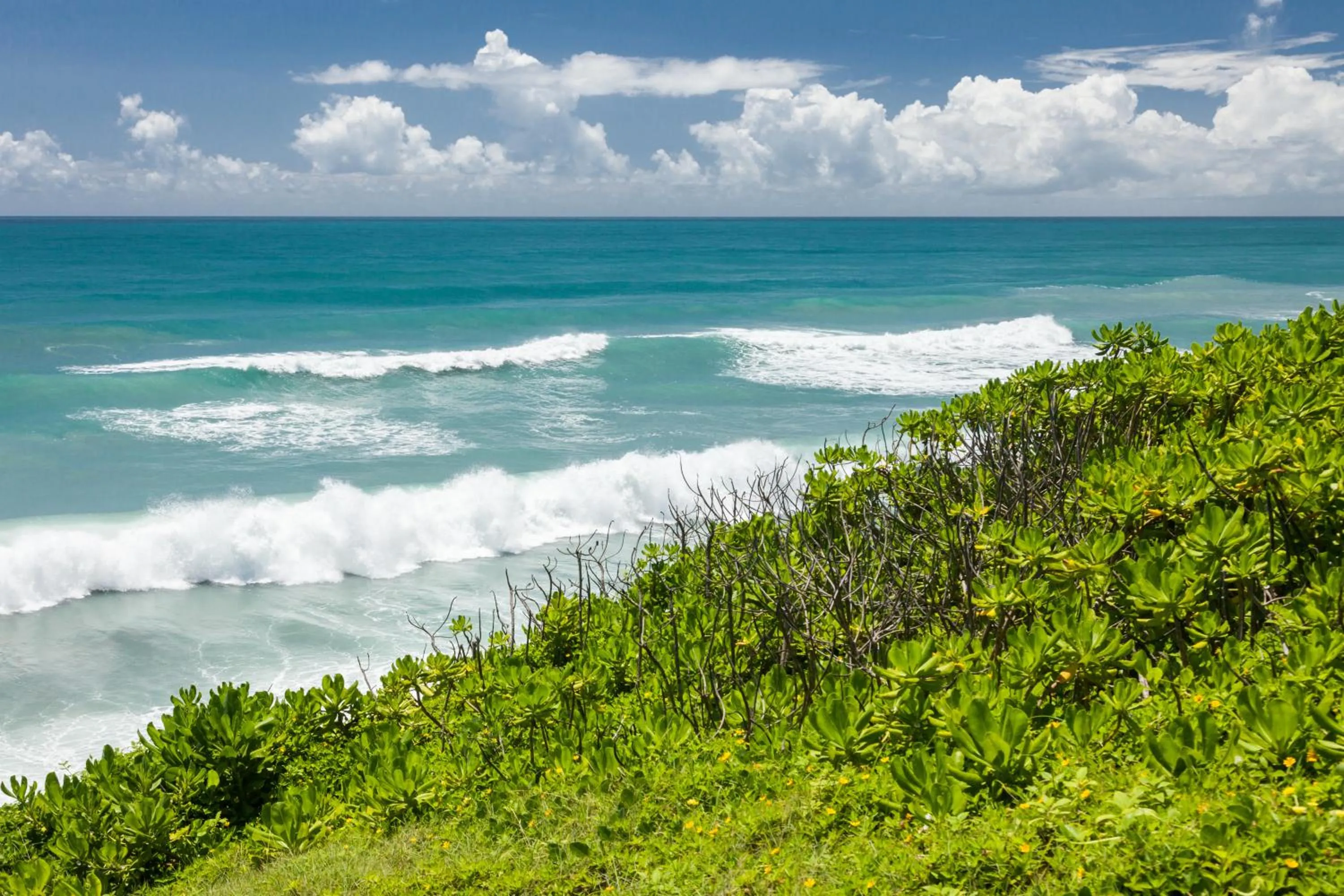 Property building in Sea Dragonfly