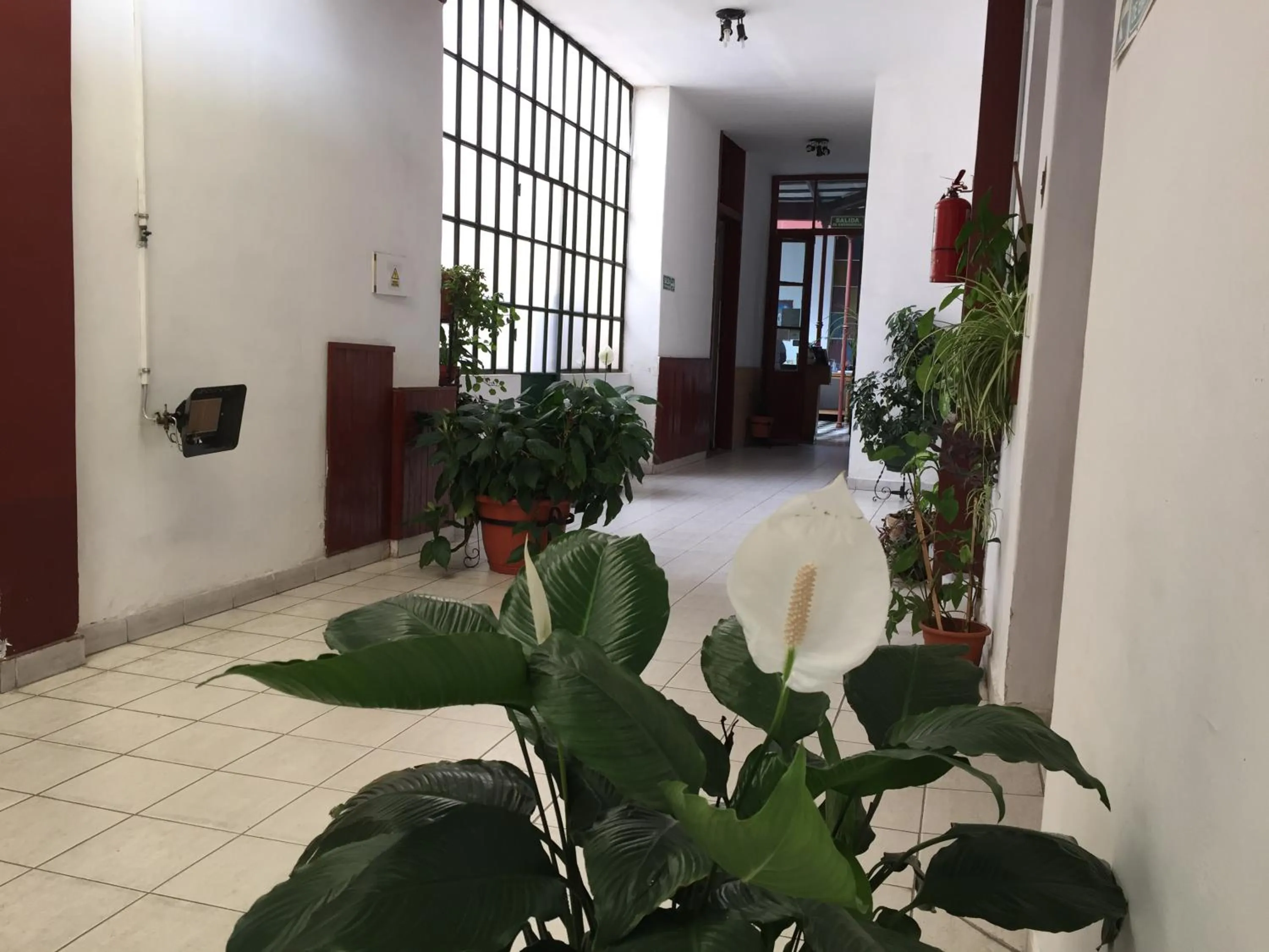 On site in Posada Casa de Borgoña