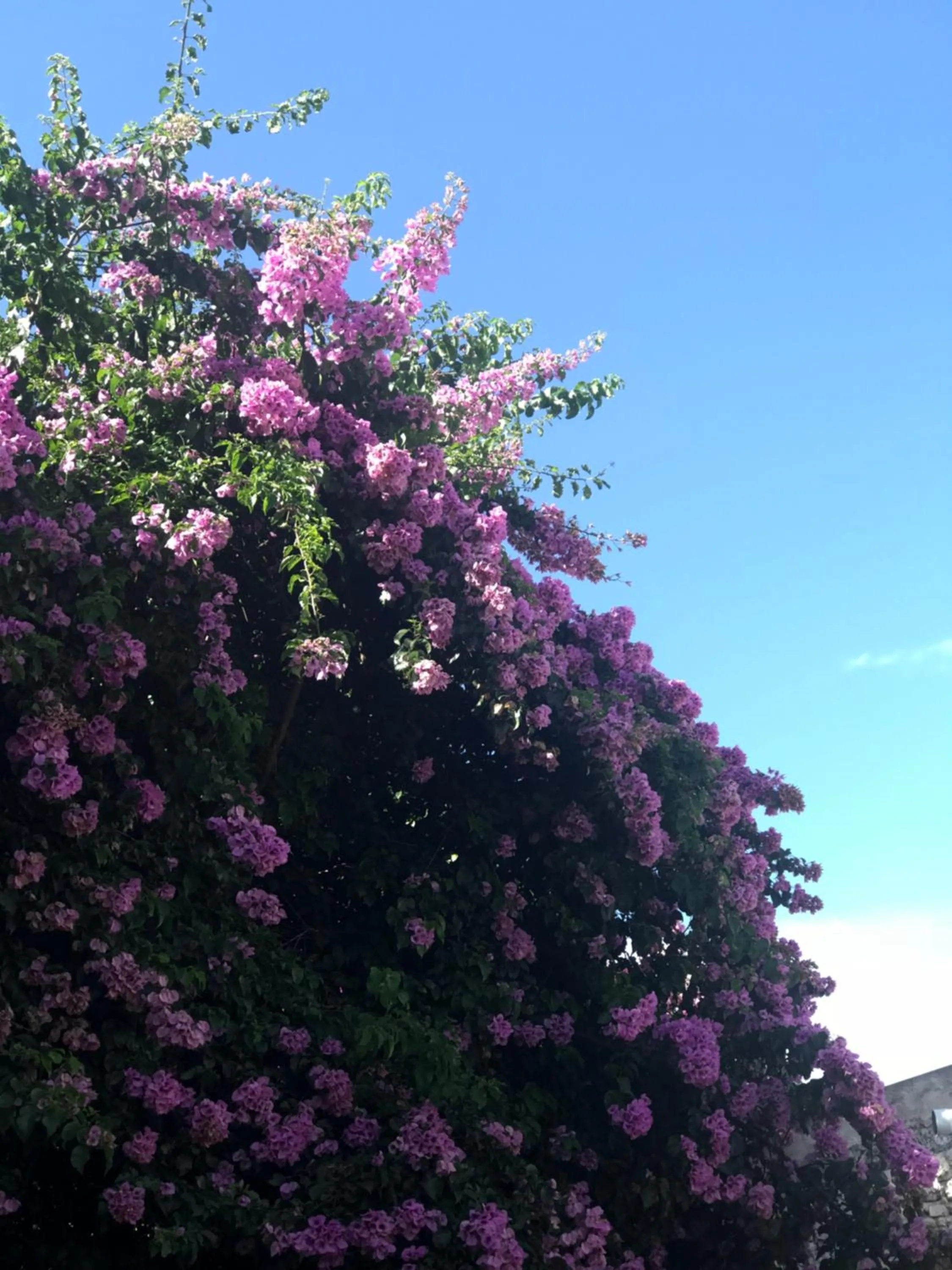 Posada Casa de Borgoña