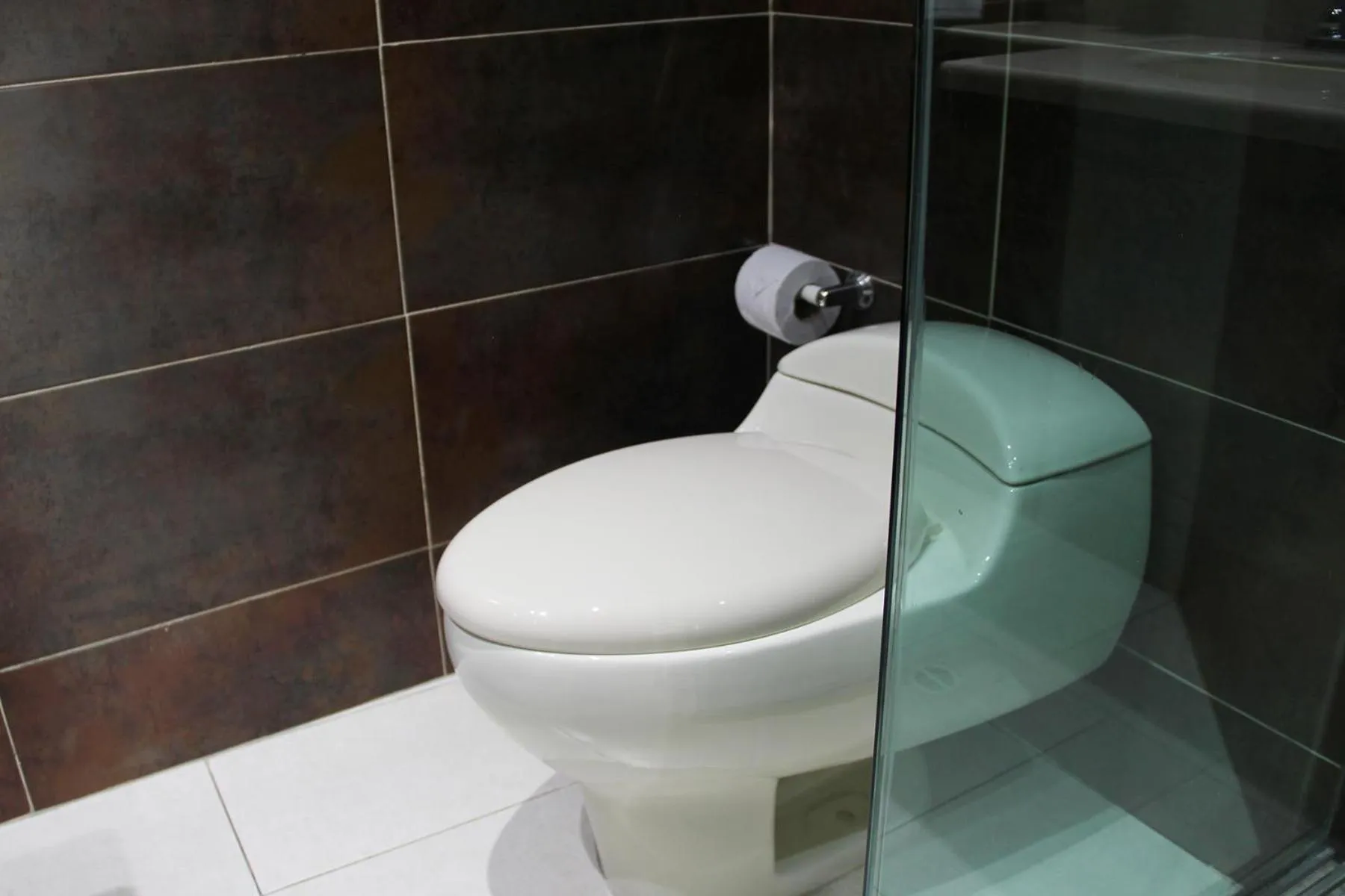 Bathroom in Hotel Santafe Real