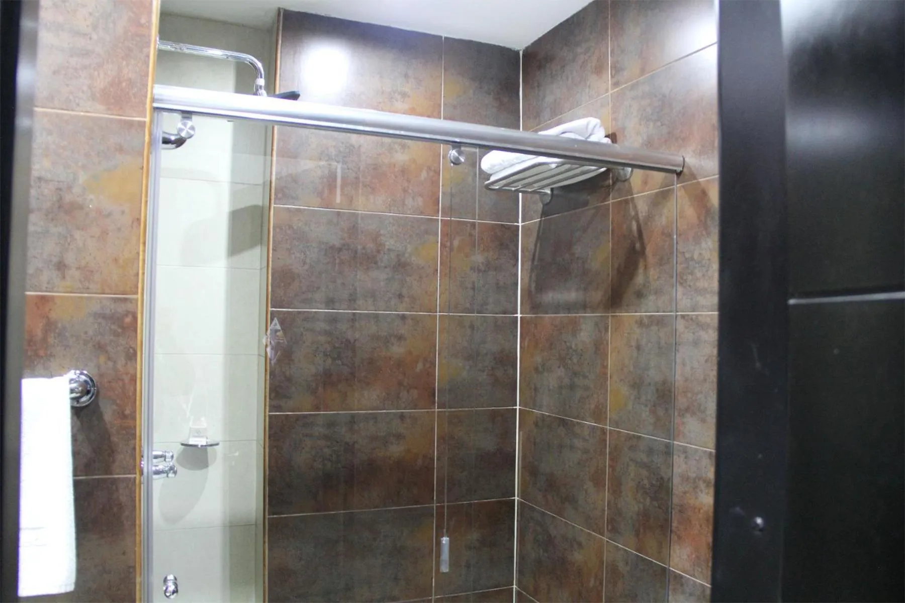 Shower in Hotel Santafe Real
