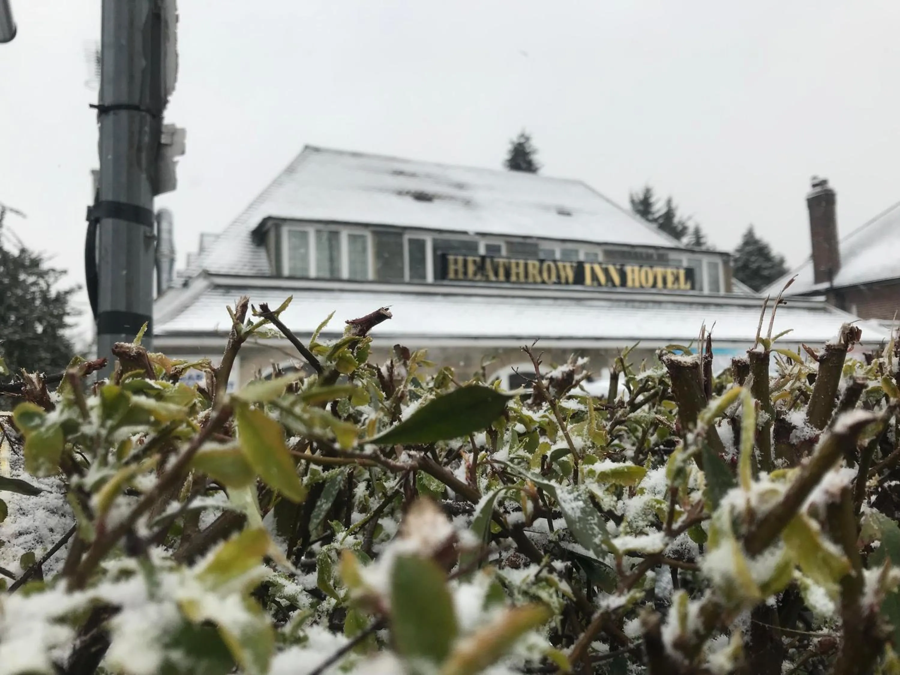 Breakfast in Heathrow Inn Hotel