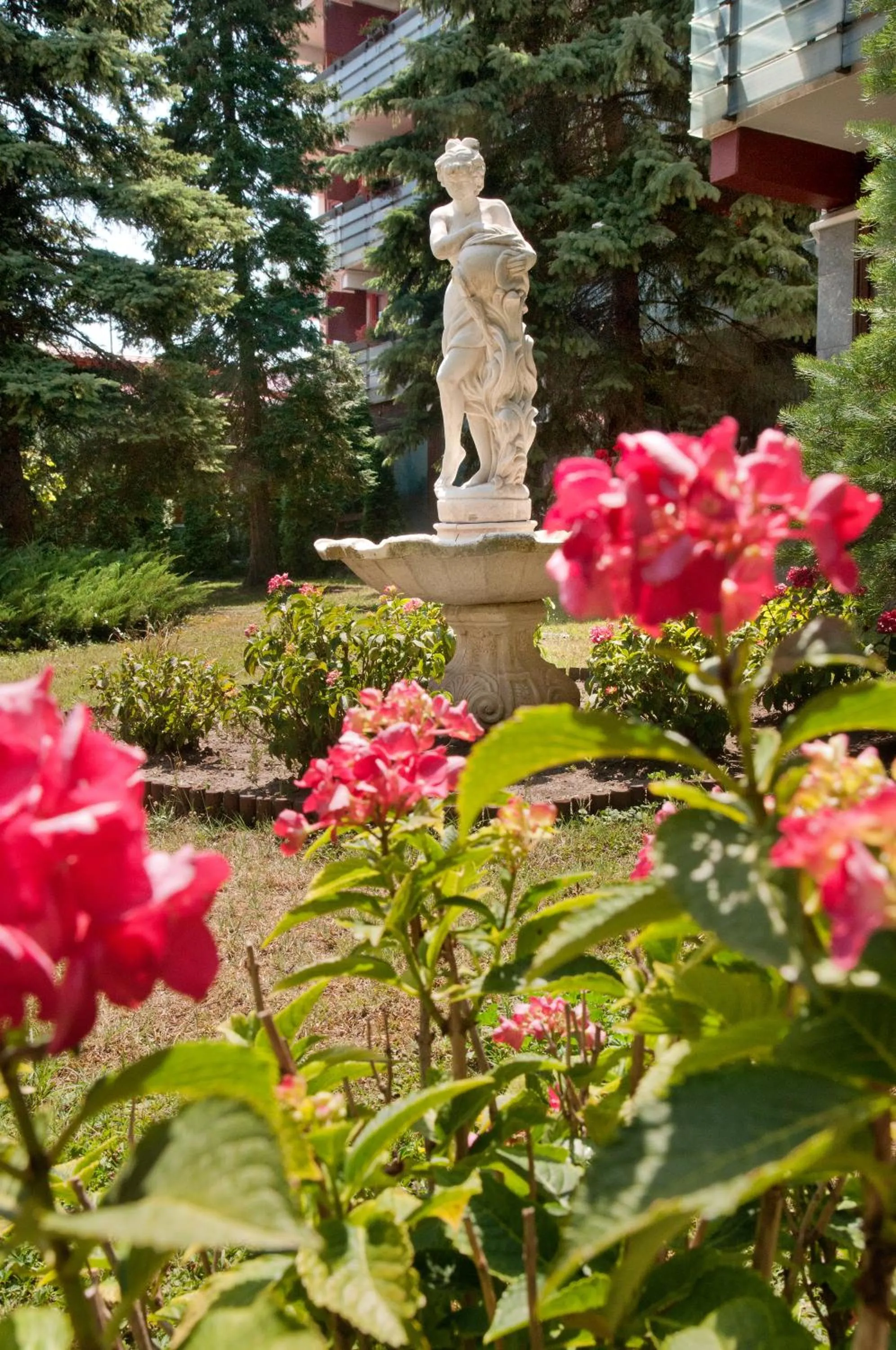 Garden view in Majerik Hotel