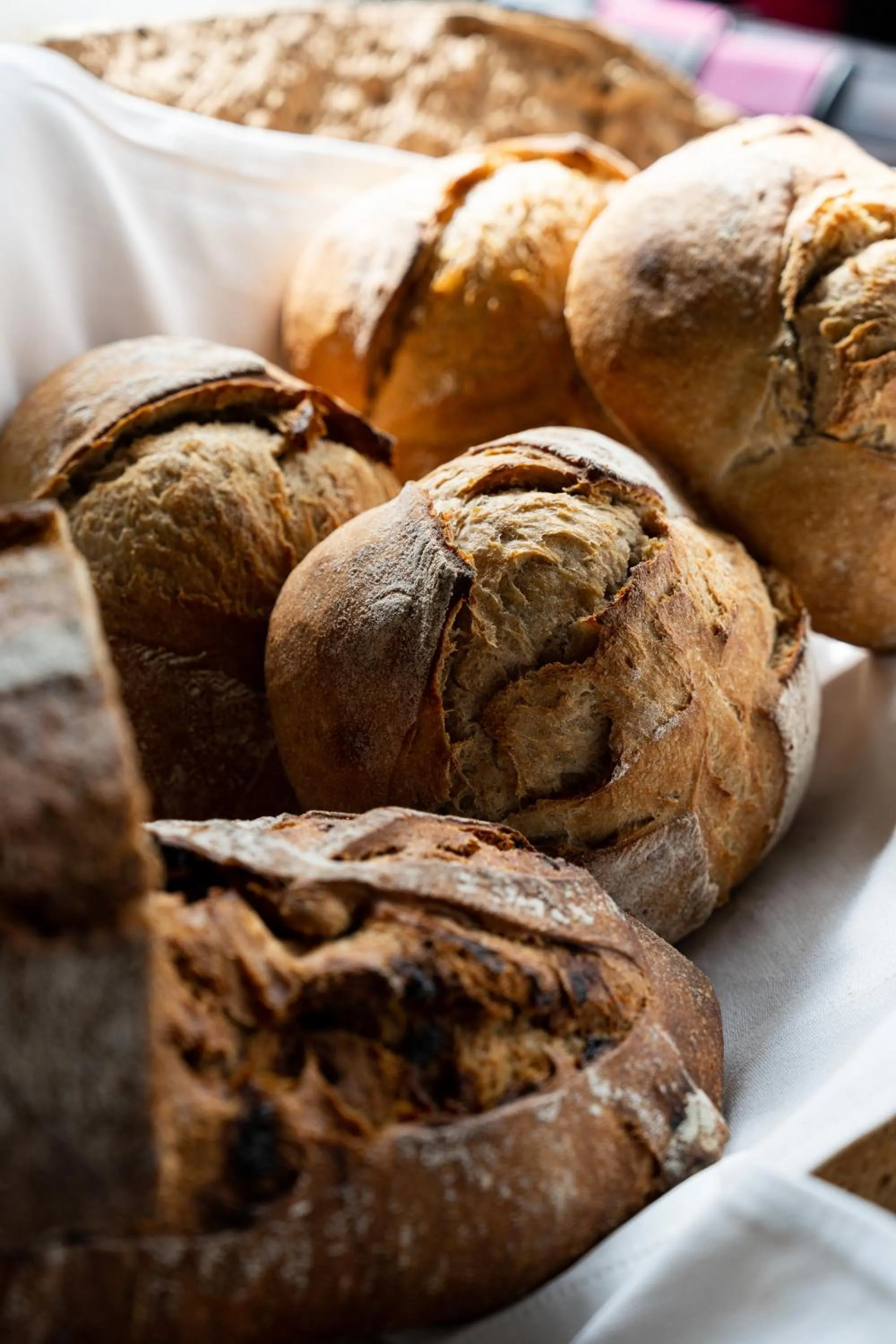 Hôtel Le Saint Remy & Spa