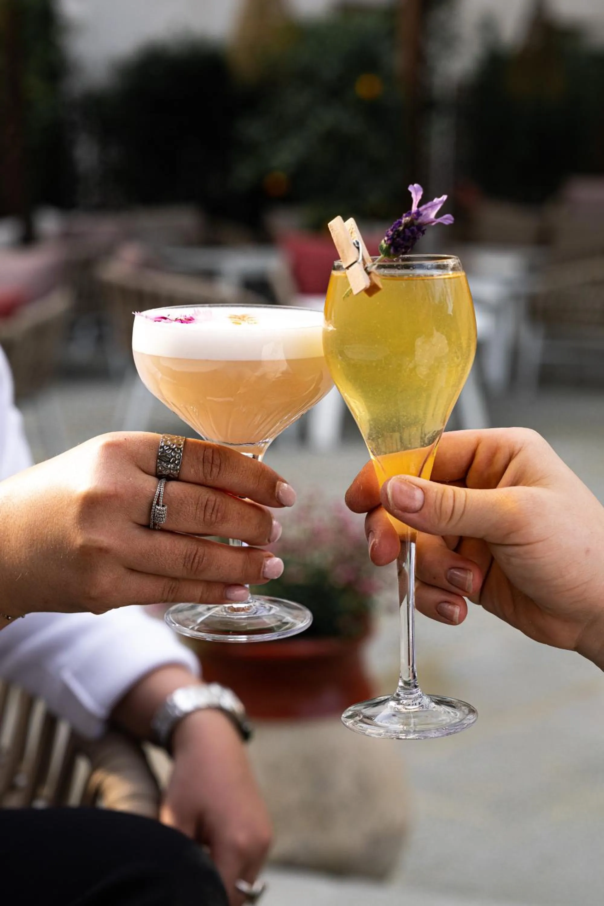 Hôtel Le Saint Remy & Spa