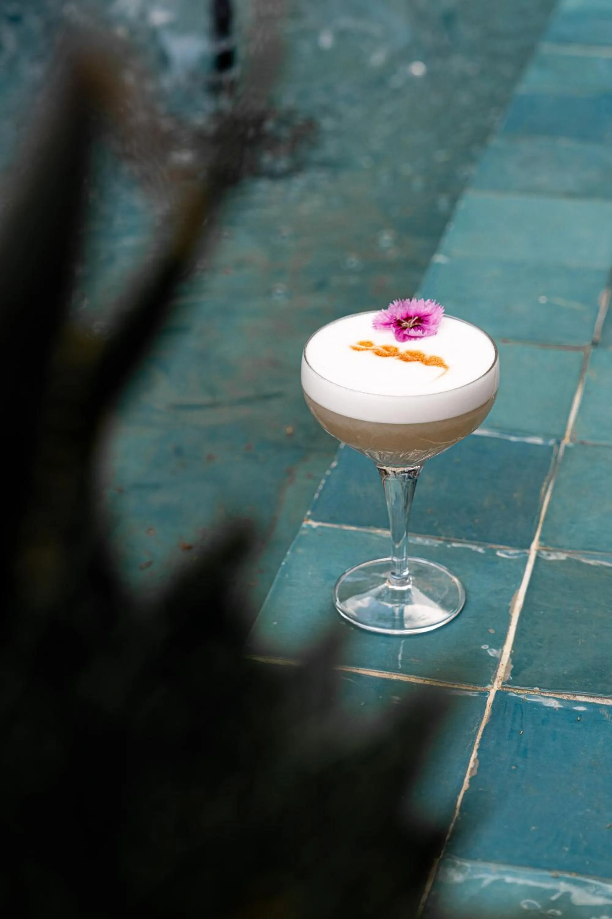 Hôtel Le Saint Remy & Spa