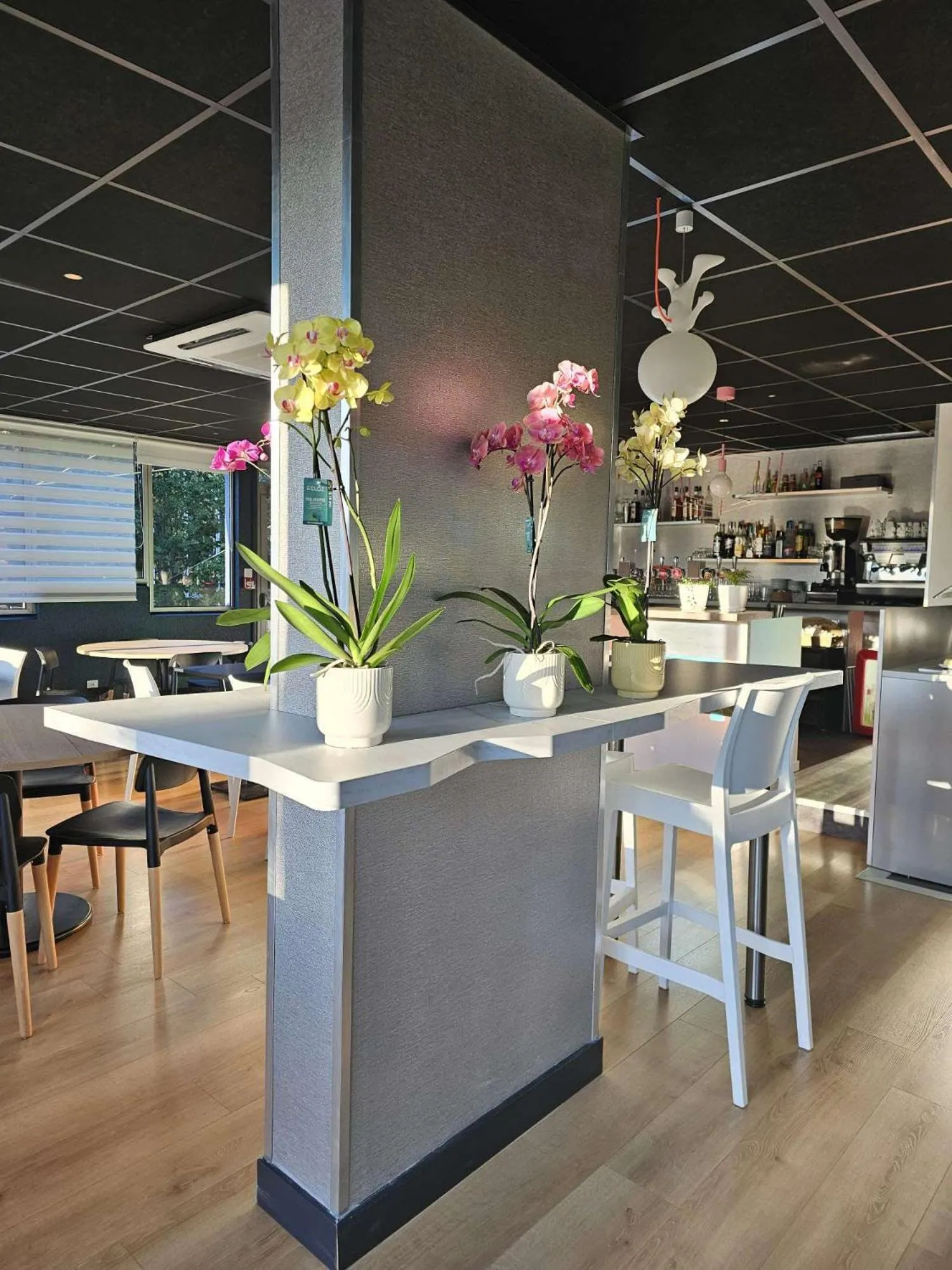 Restaurant/places to eat in The Originals City, Hotel Ariane, Toulouse Sud Labège