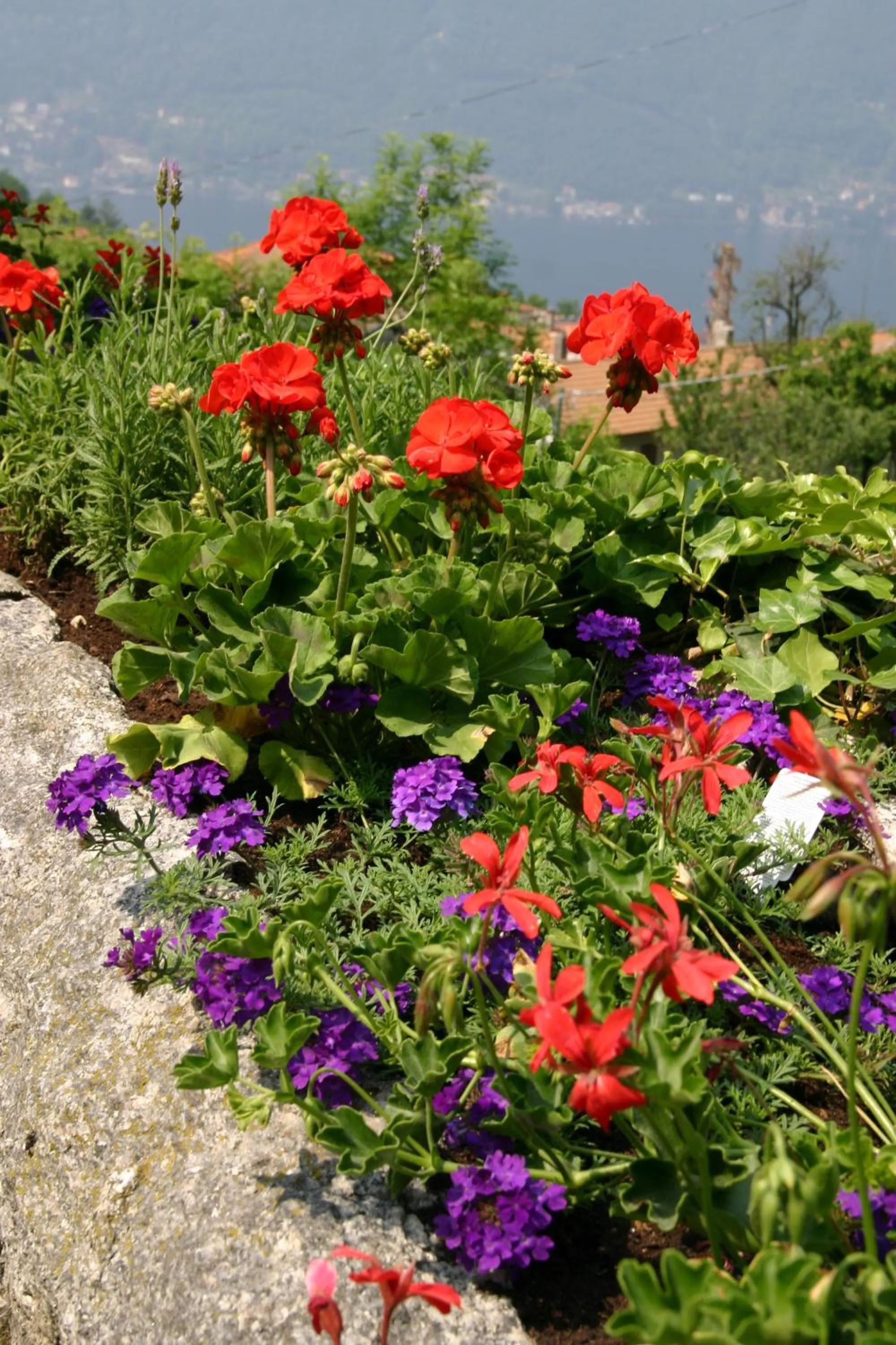 Facade/entrance in La Ruota del Mulino
