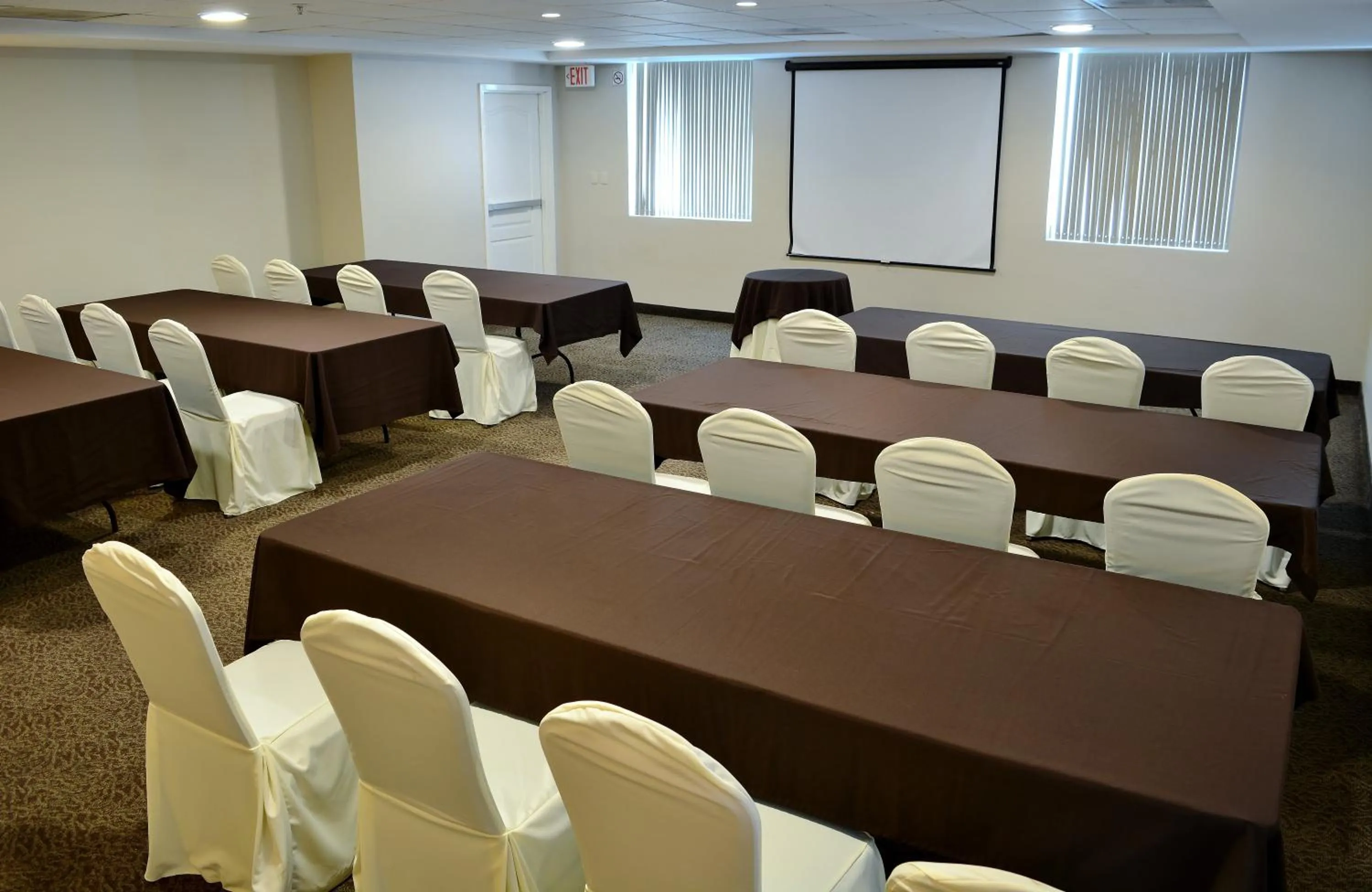 Meeting/conference room in Holiday Inn Reynosa Zona Dorada by IHG