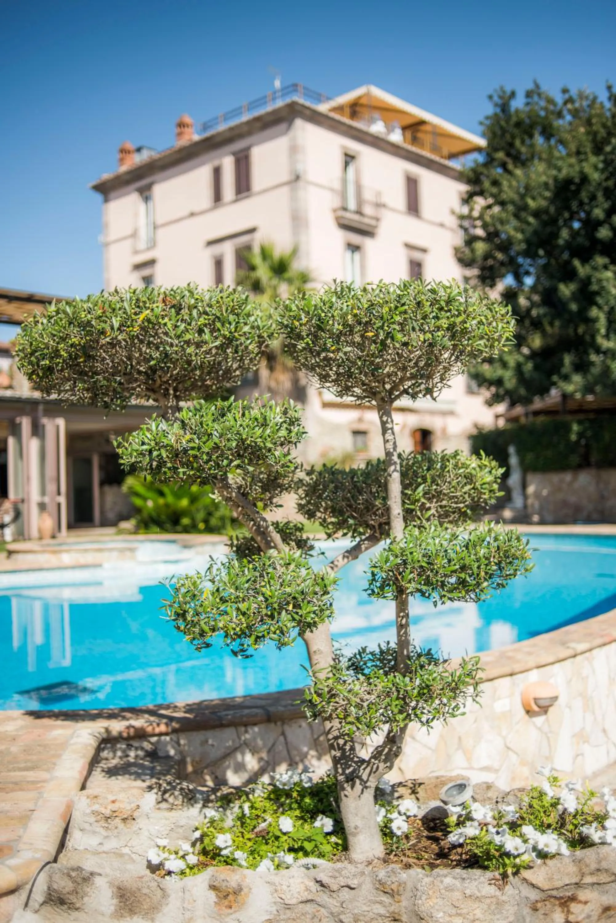 Swimming pool in Villa Clodia Relais