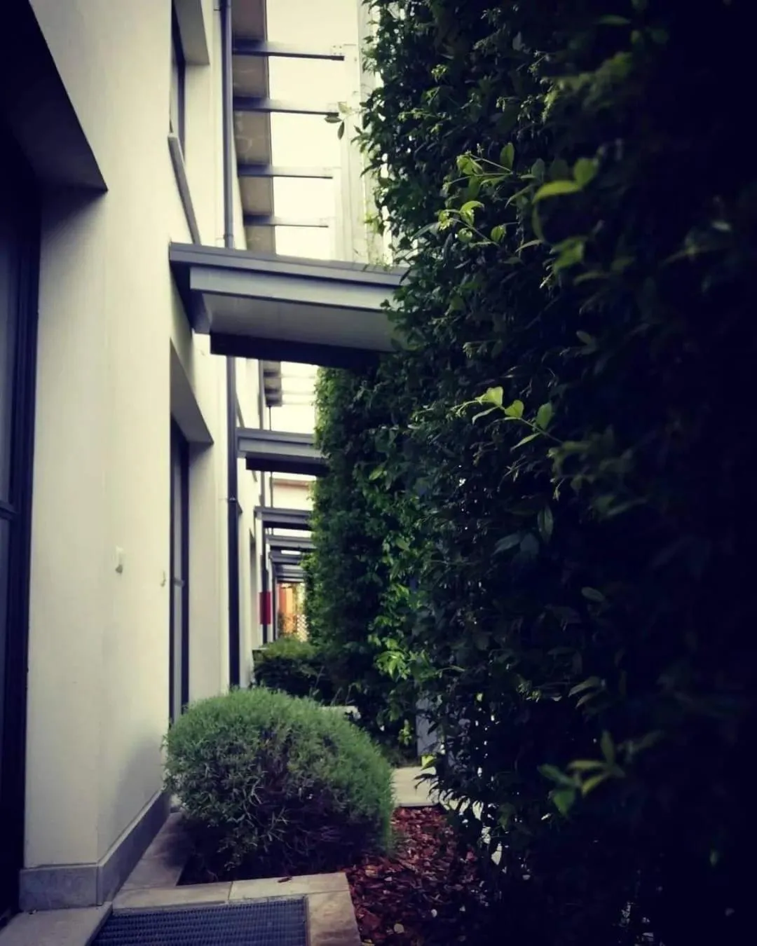 Mxp Rooms Guest House