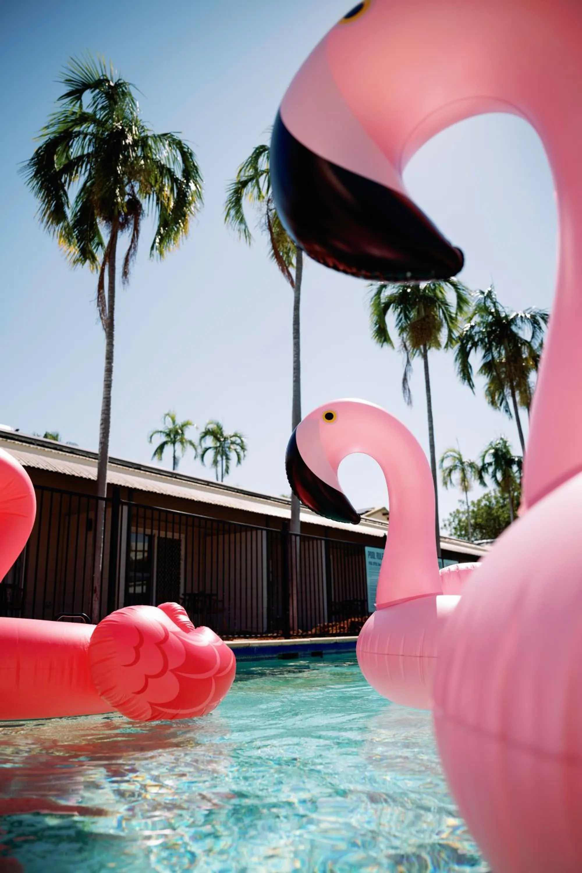 Swimming pool in The Continental Hotel