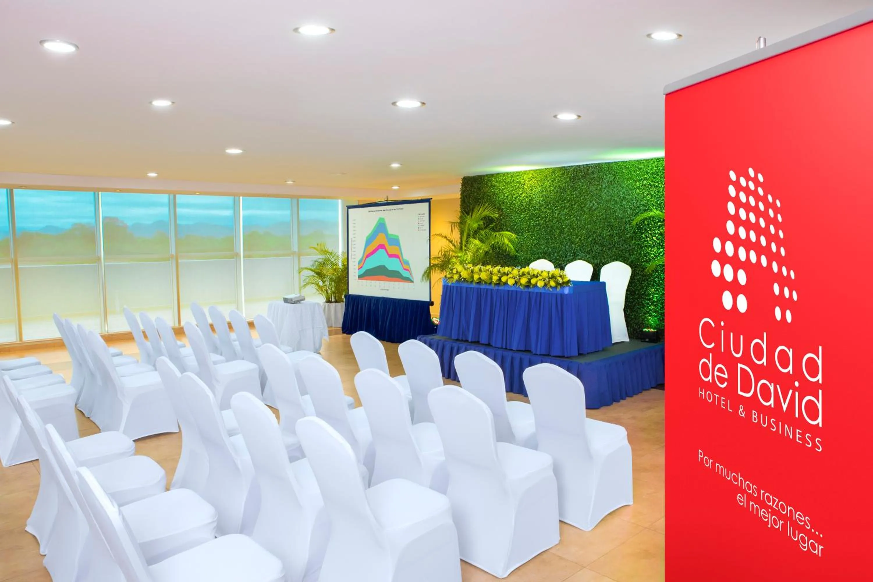 Meeting/conference room in Hotel Ciudad de David