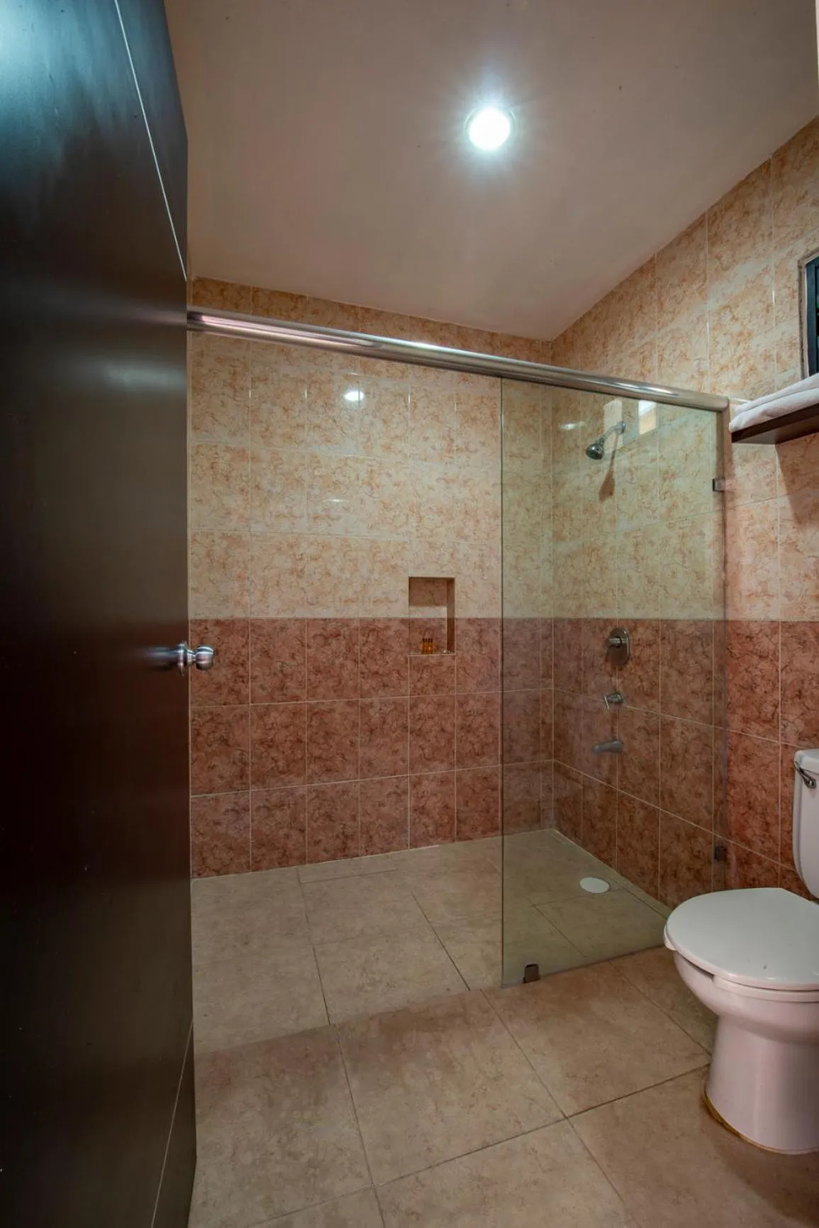 Toilet in Hotel Embajadores