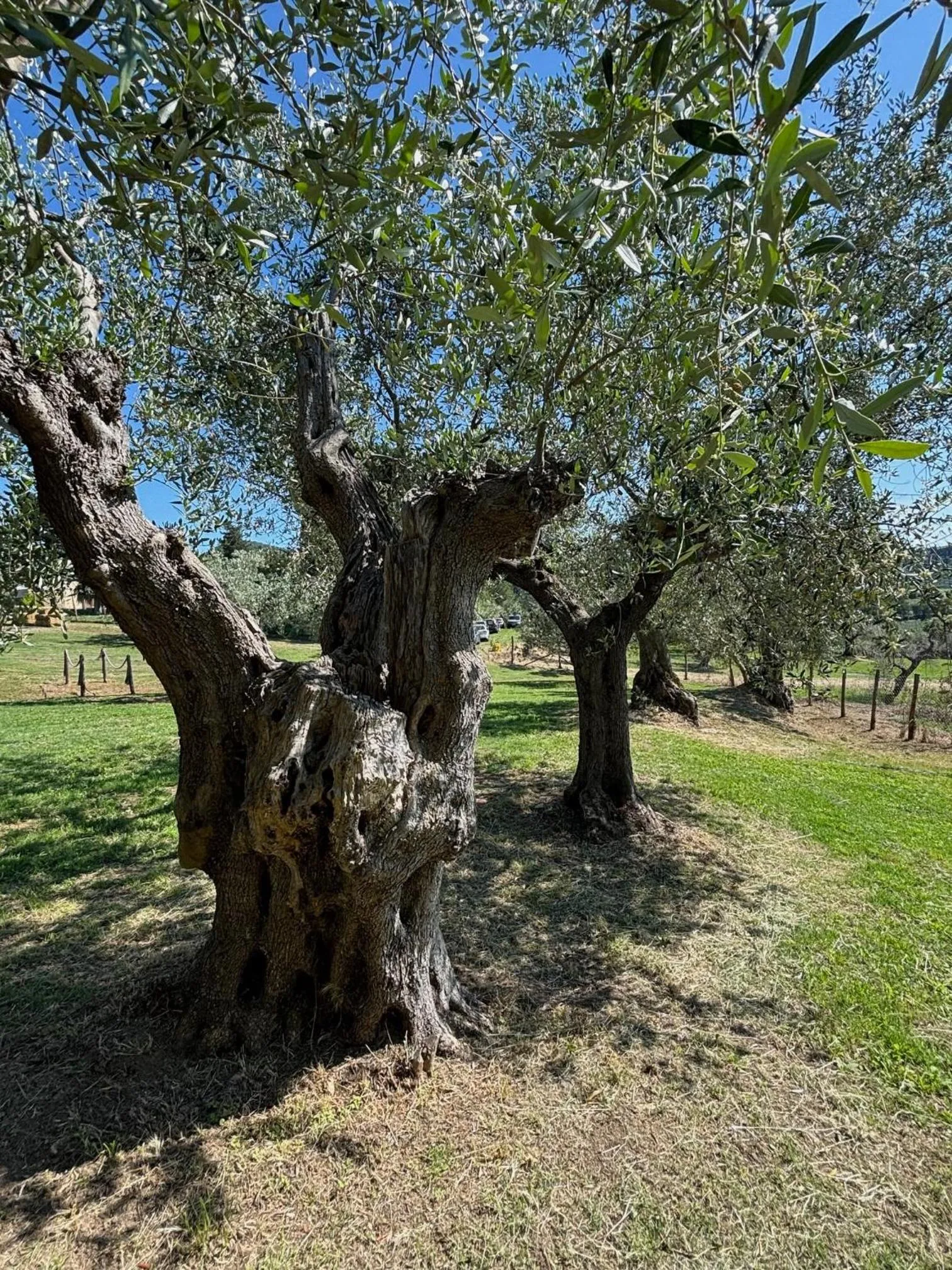 Relais dei Molini - Villa dei Molini