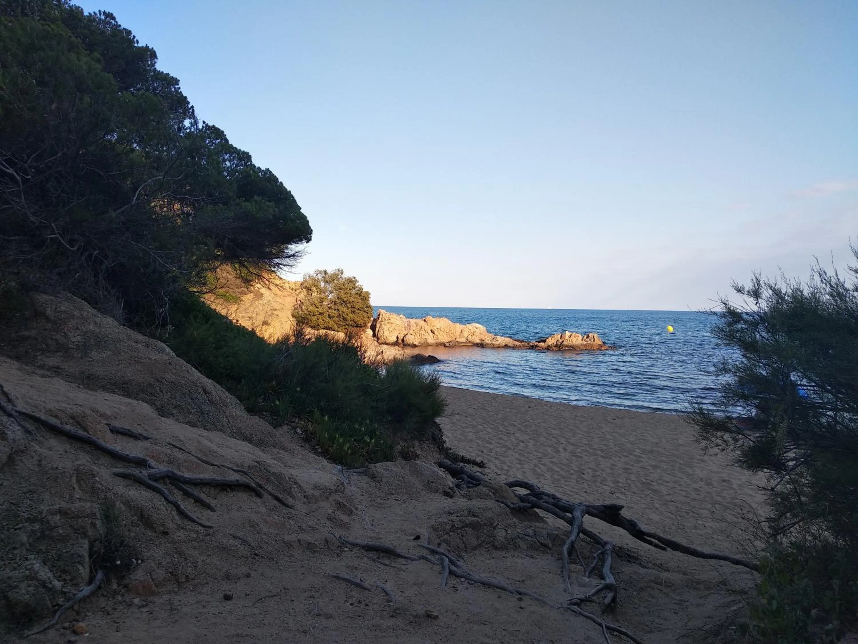 Beach in Can Cocollona
