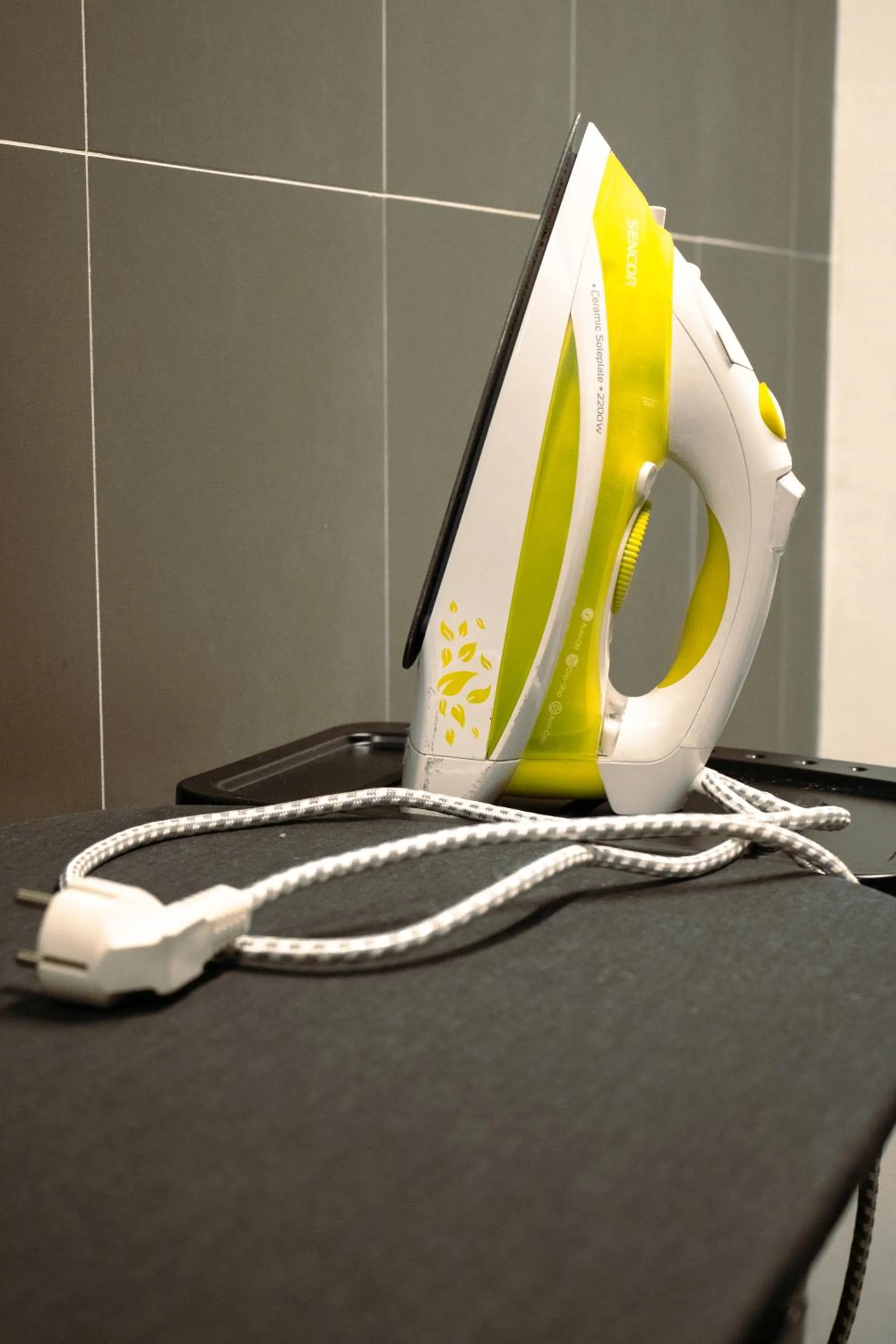 flat iron in Prague Dream Hostel