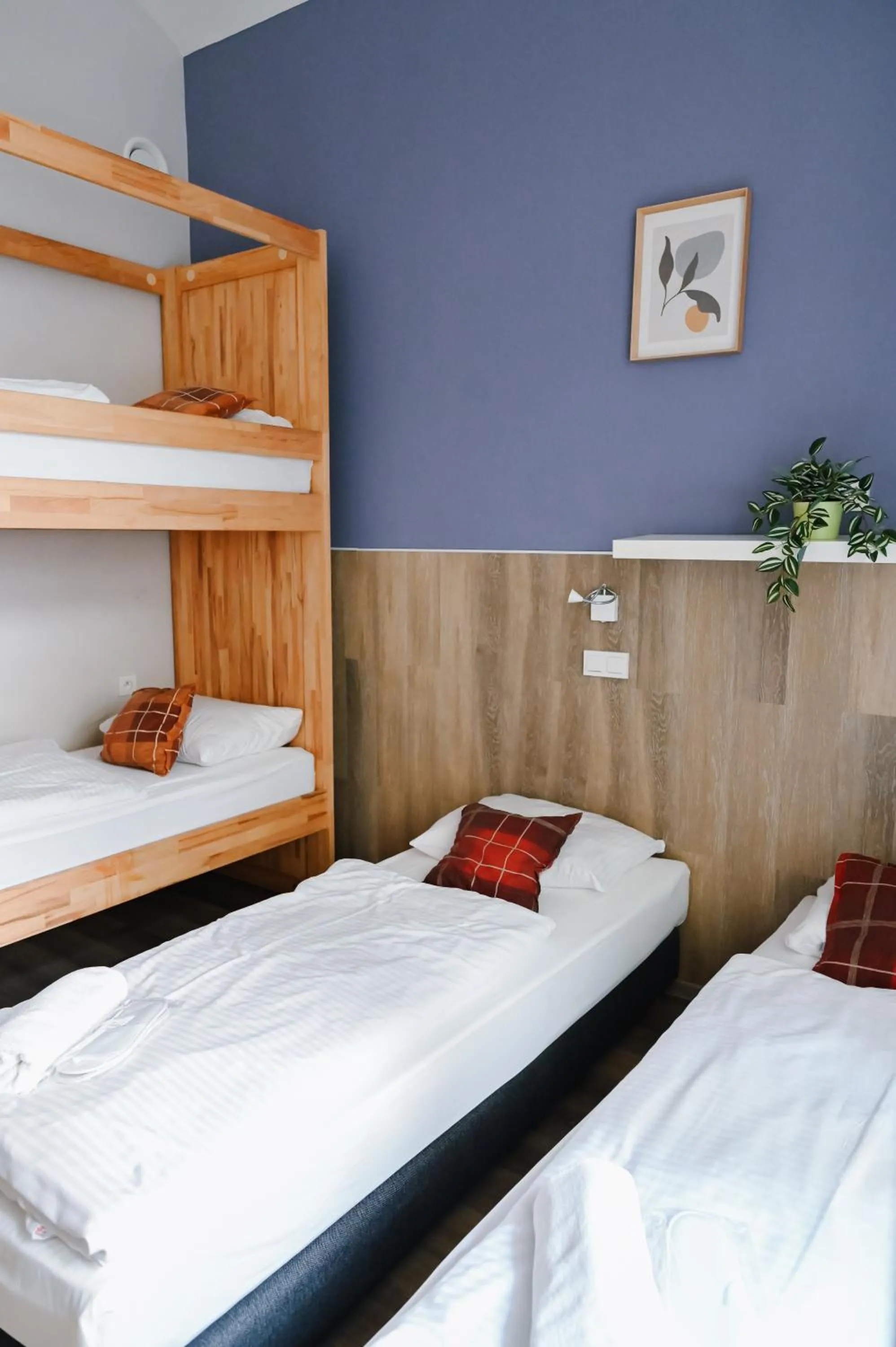 Bed in Prague Dream Hostel