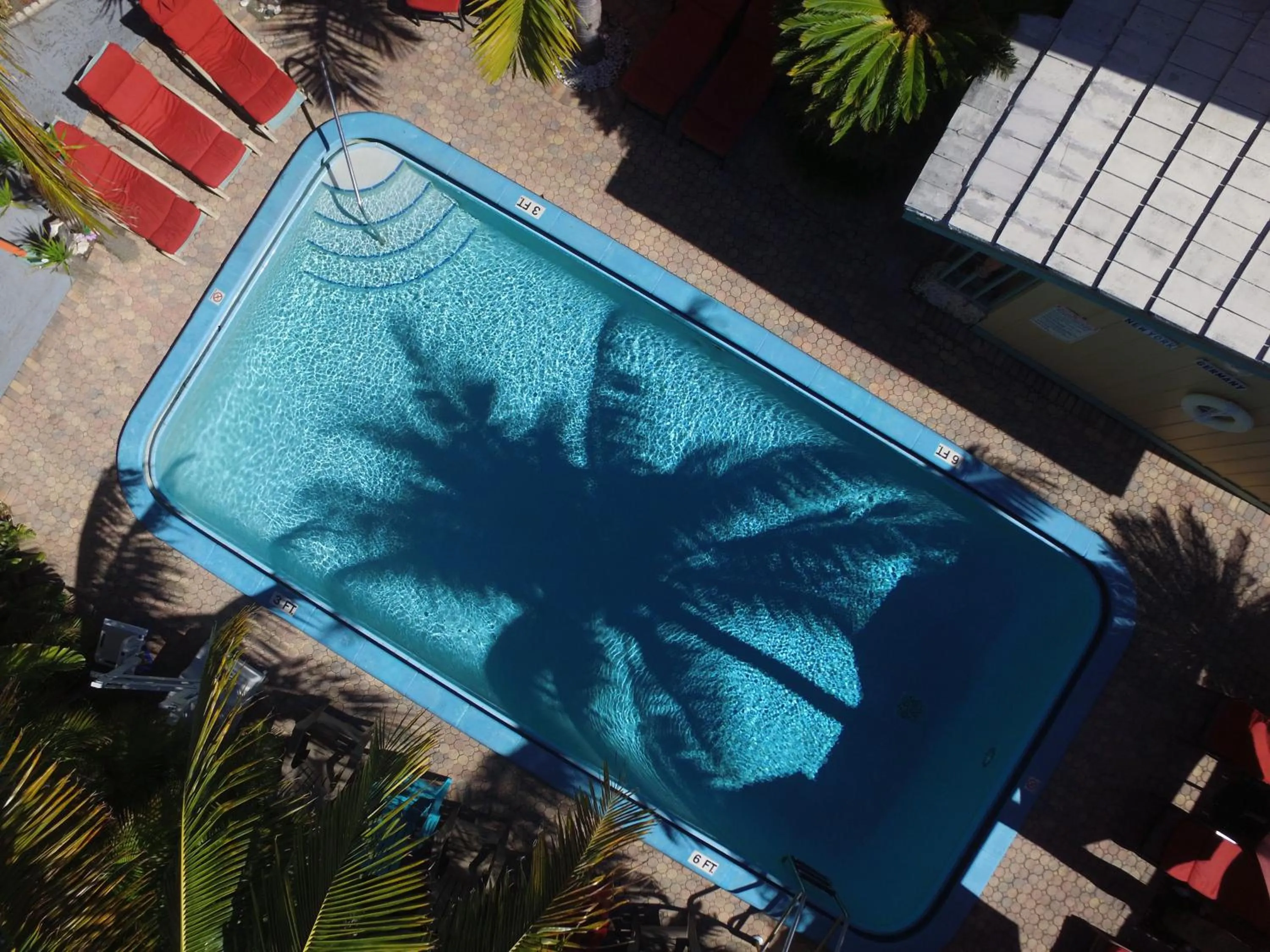 Swimming pool in Best Florida Resort