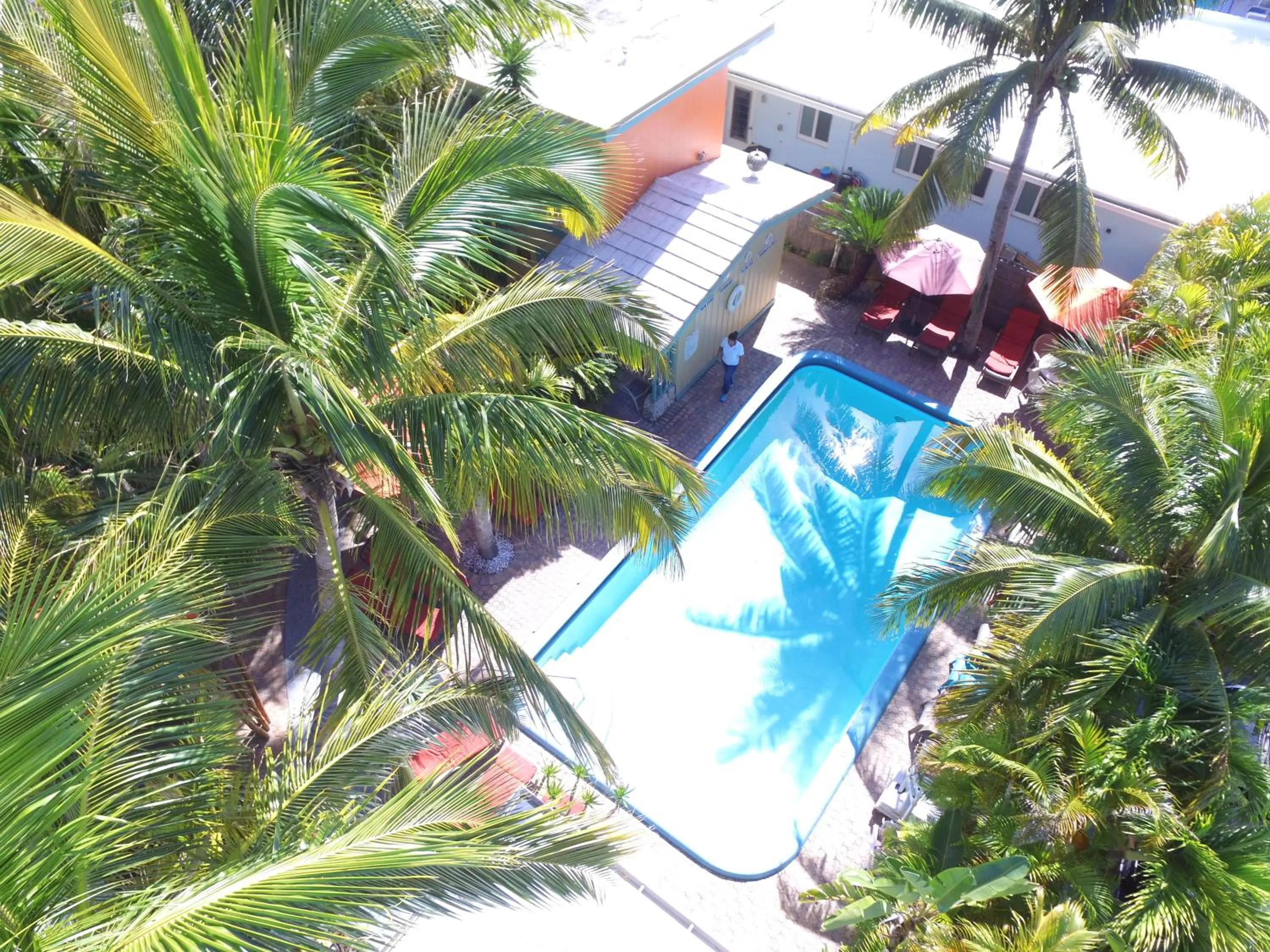 Swimming pool in Best Florida Resort