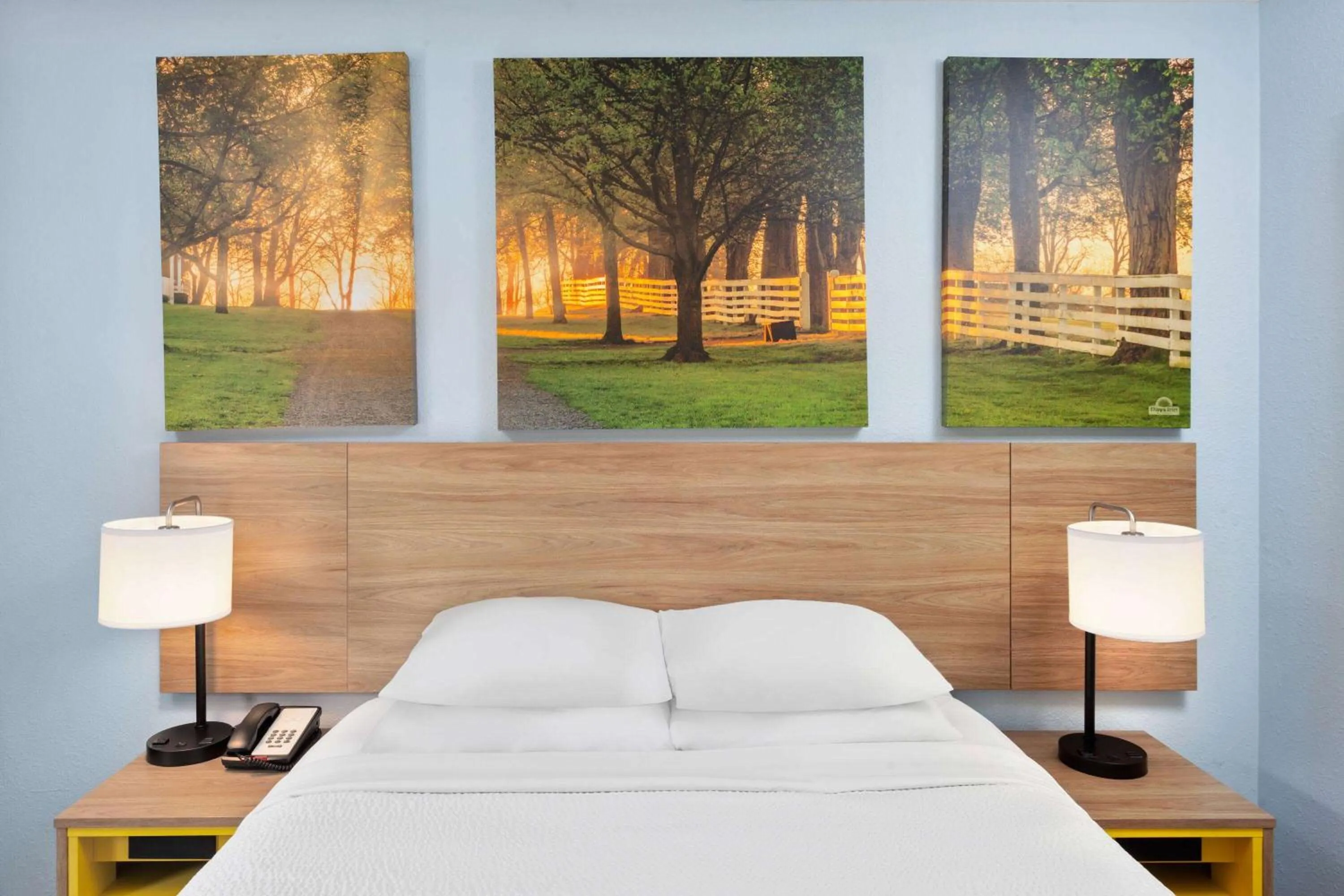 Photo of the whole room, Bed in Days Inn & Suites by Wyndham Siler City