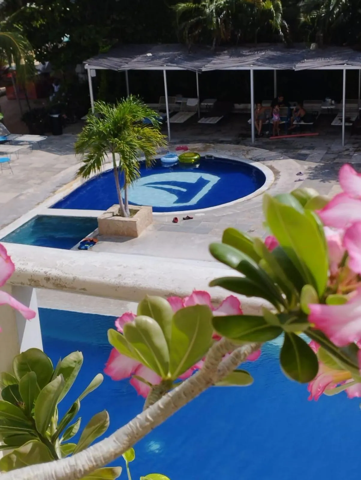 Pool view in Acamar Beach Resort