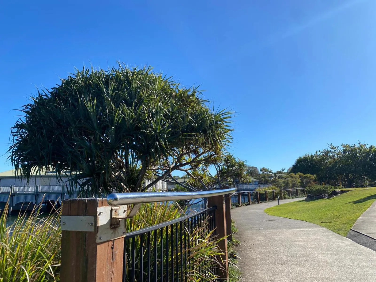Garden in The Sebel Twin Waters