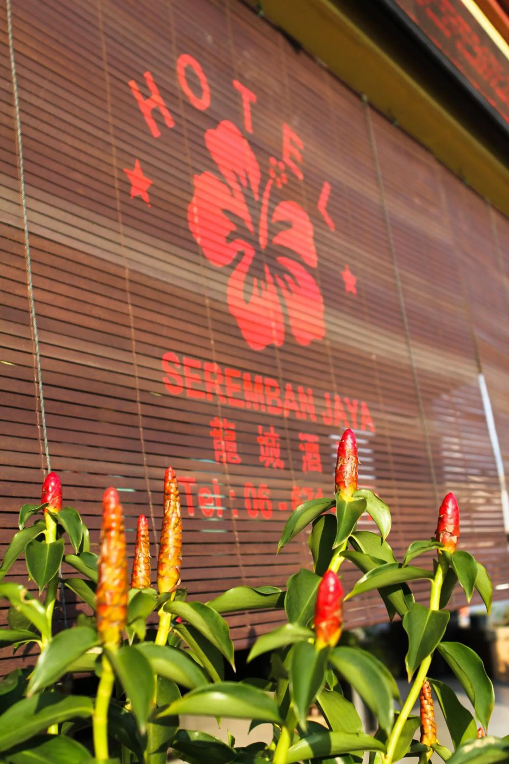 Garden in Hotel Seremban Jaya