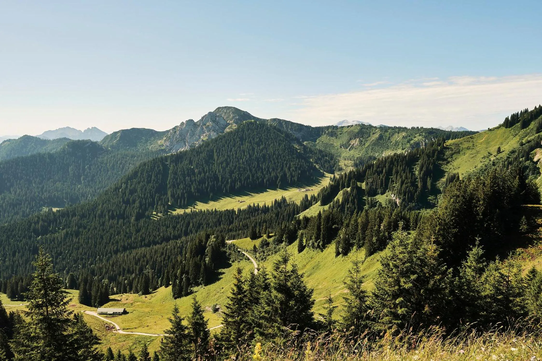 Activities in Hotel Bussi Baby