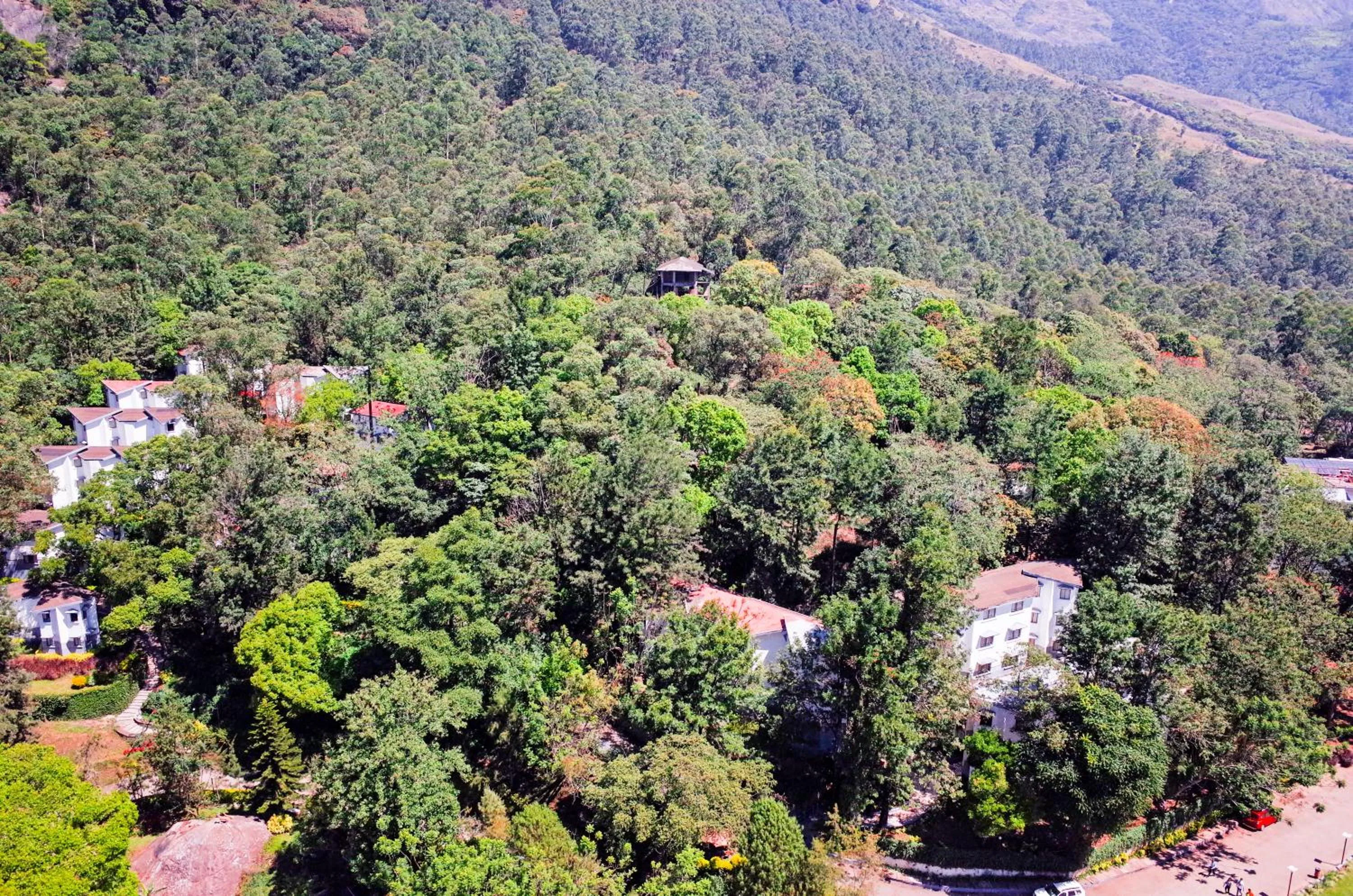 Bird's eye view in Sterling Munnar