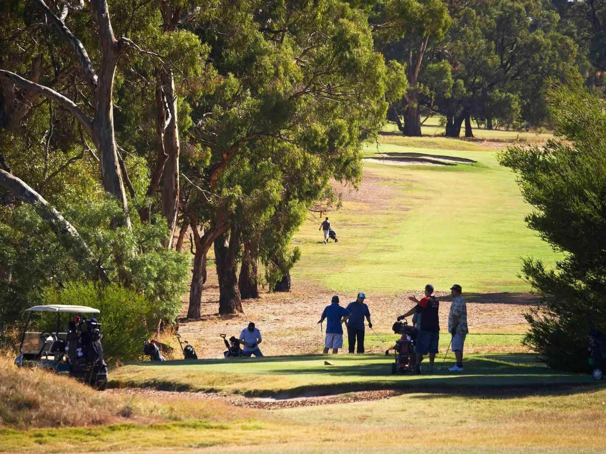 Golfcourse in Novotel Barossa Valley Resort