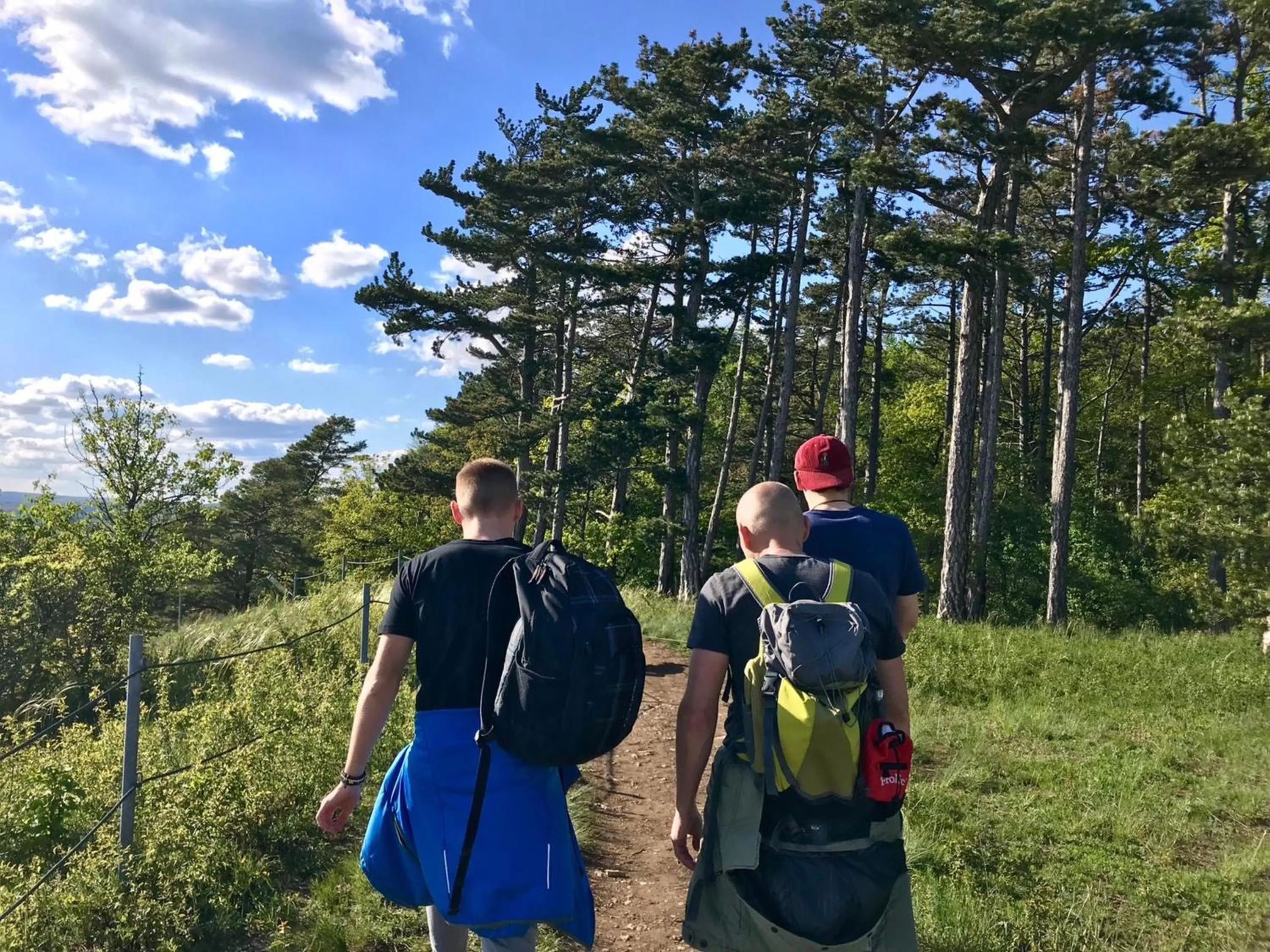 Hiking in Seehotel Gut Dürnhof