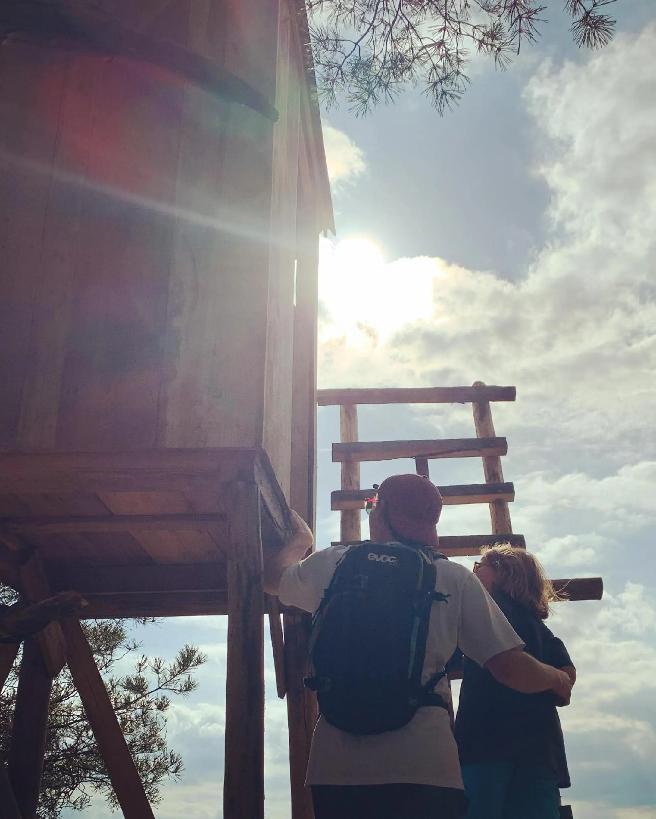 Hiking in Seehotel Gut Dürnhof