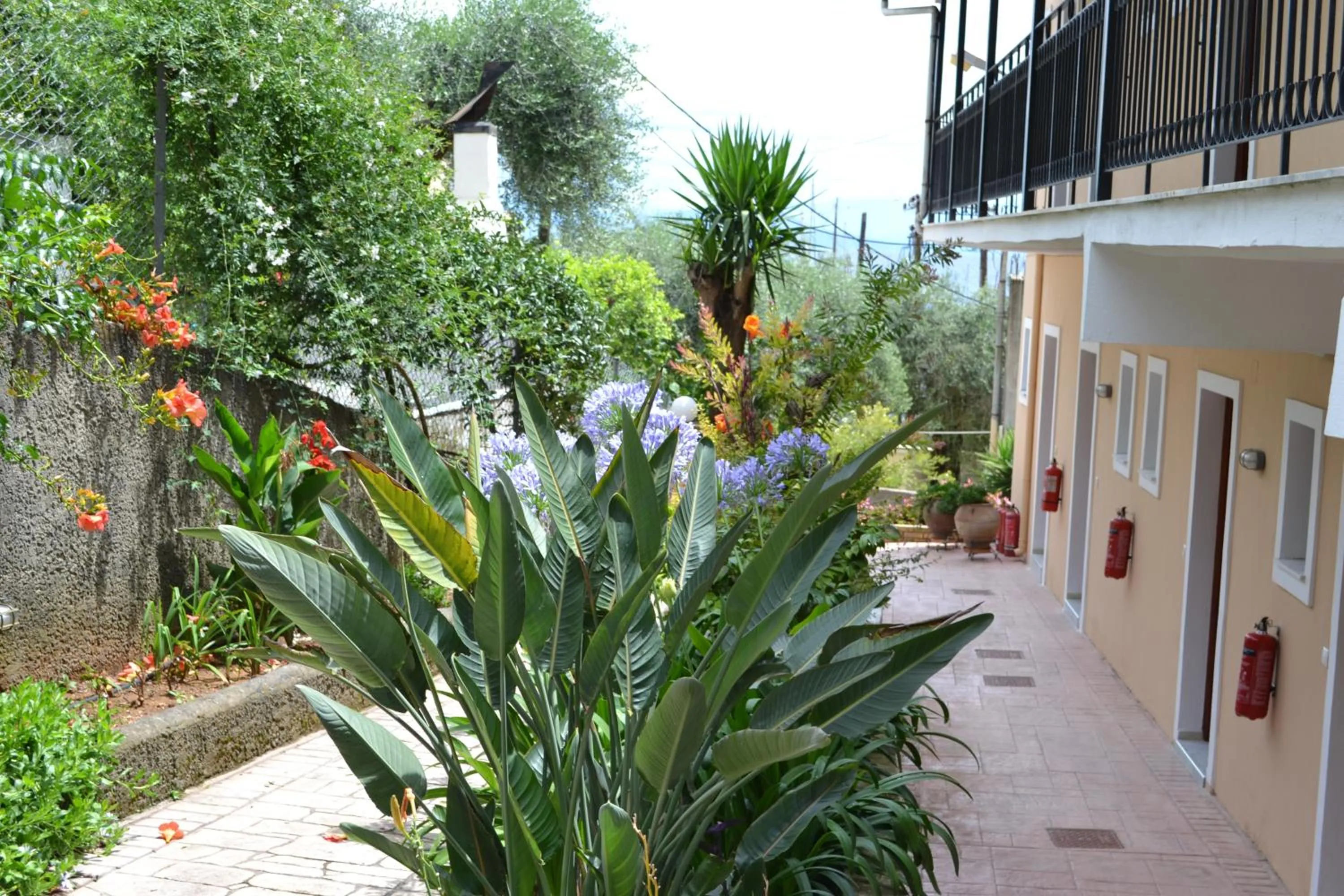 Garden in Iliana Studios