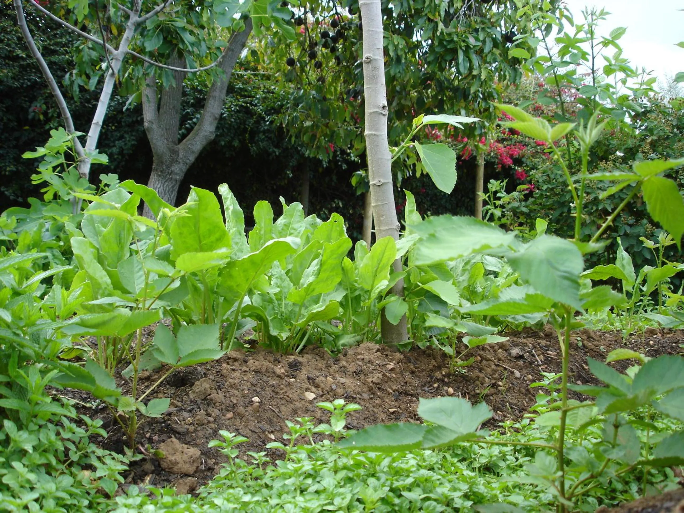 Food and drinks in De Doornkraal Vinotel