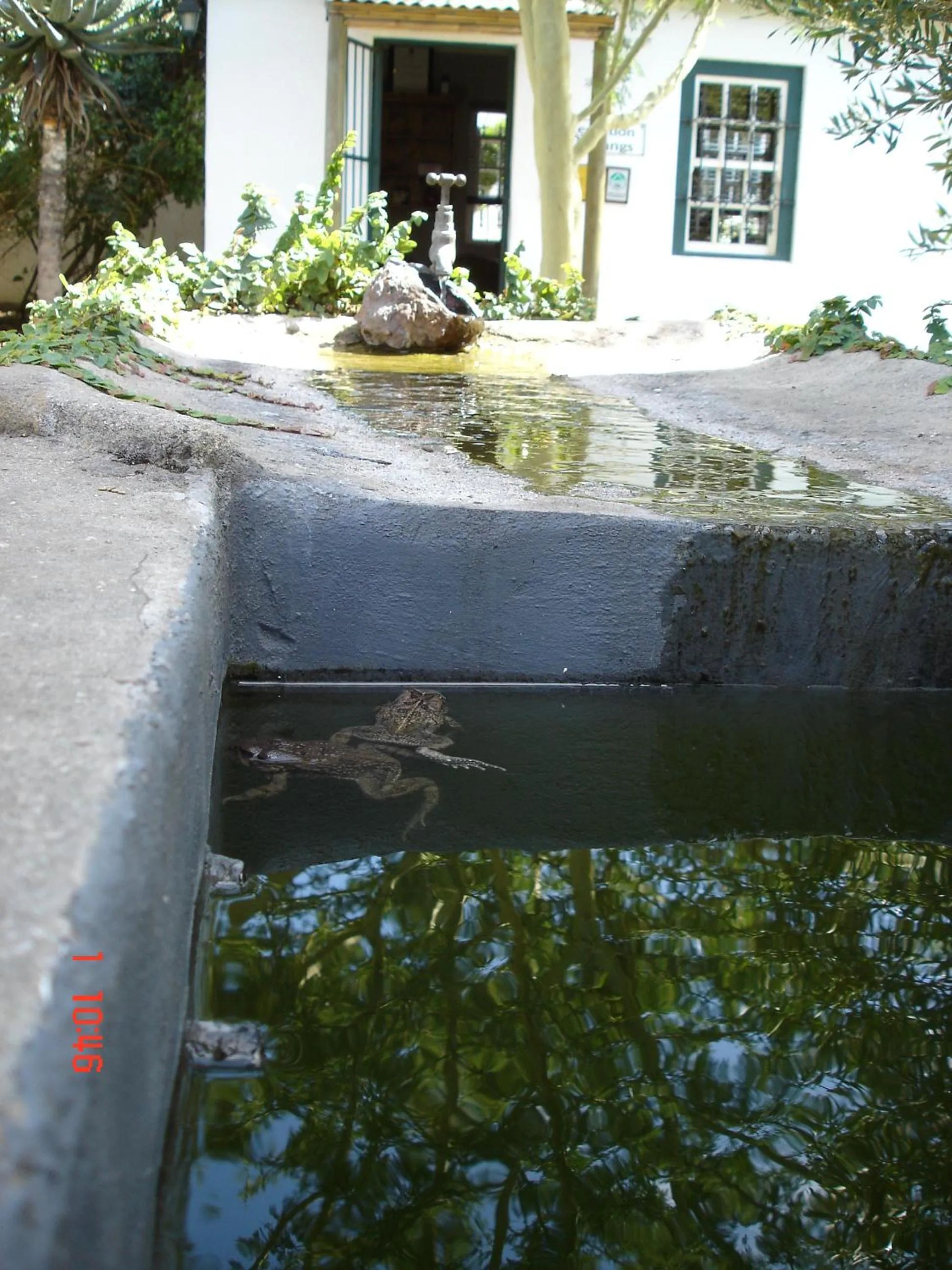 Garden in De Doornkraal Vinotel
