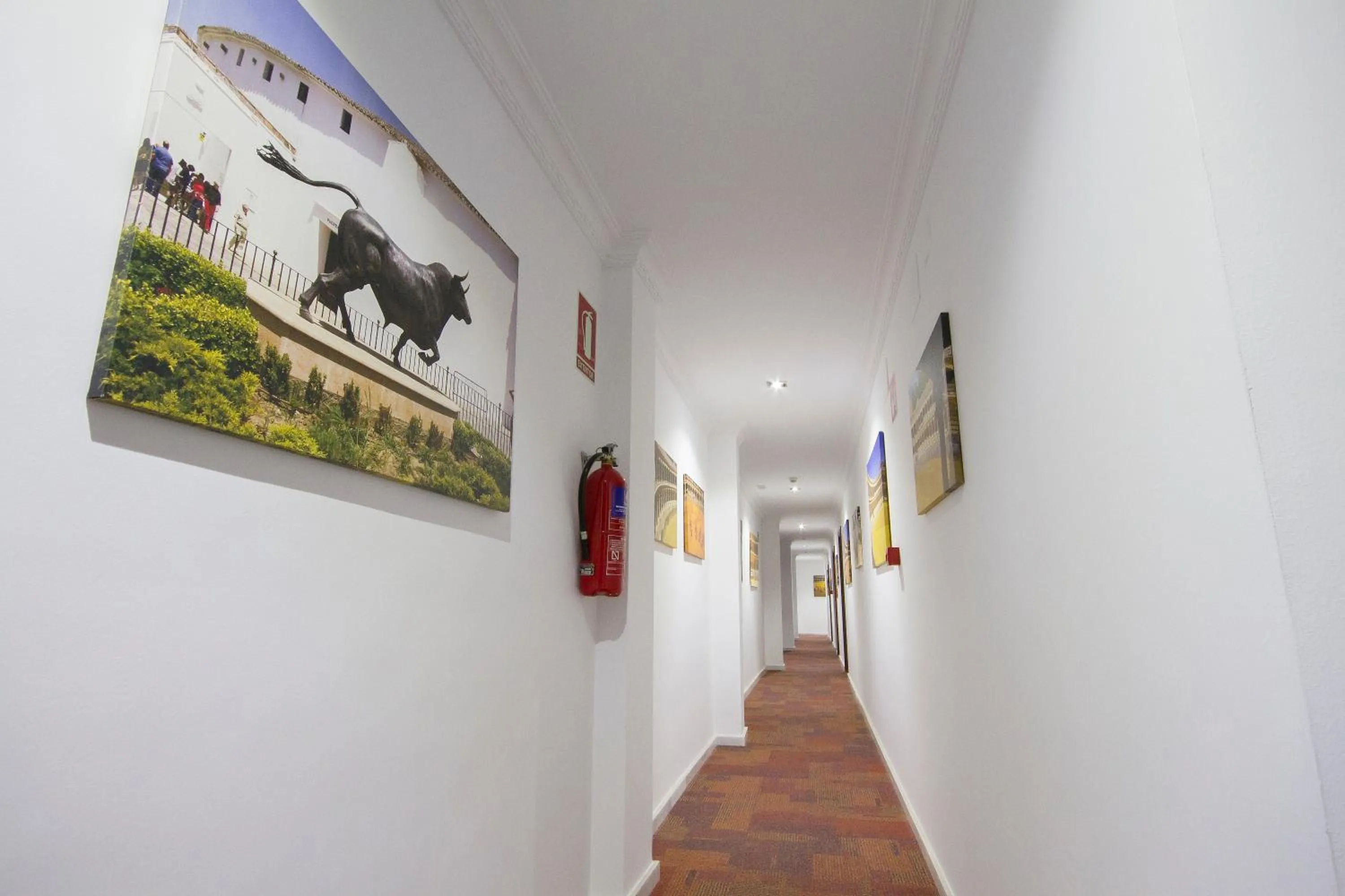 Area and facilities in Hotel El Tajo & SPA