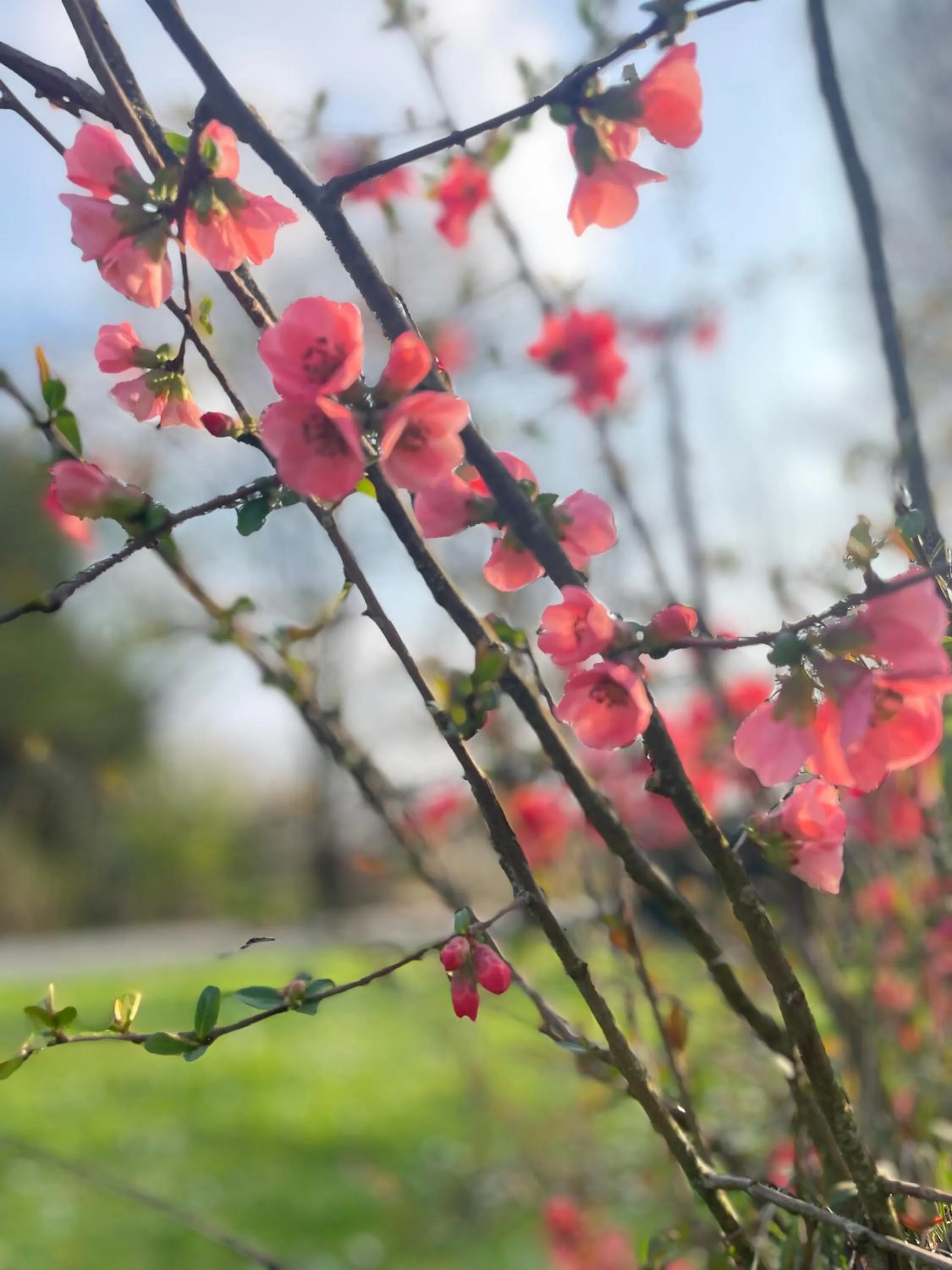 Property building in B&B Villa Gradenigo