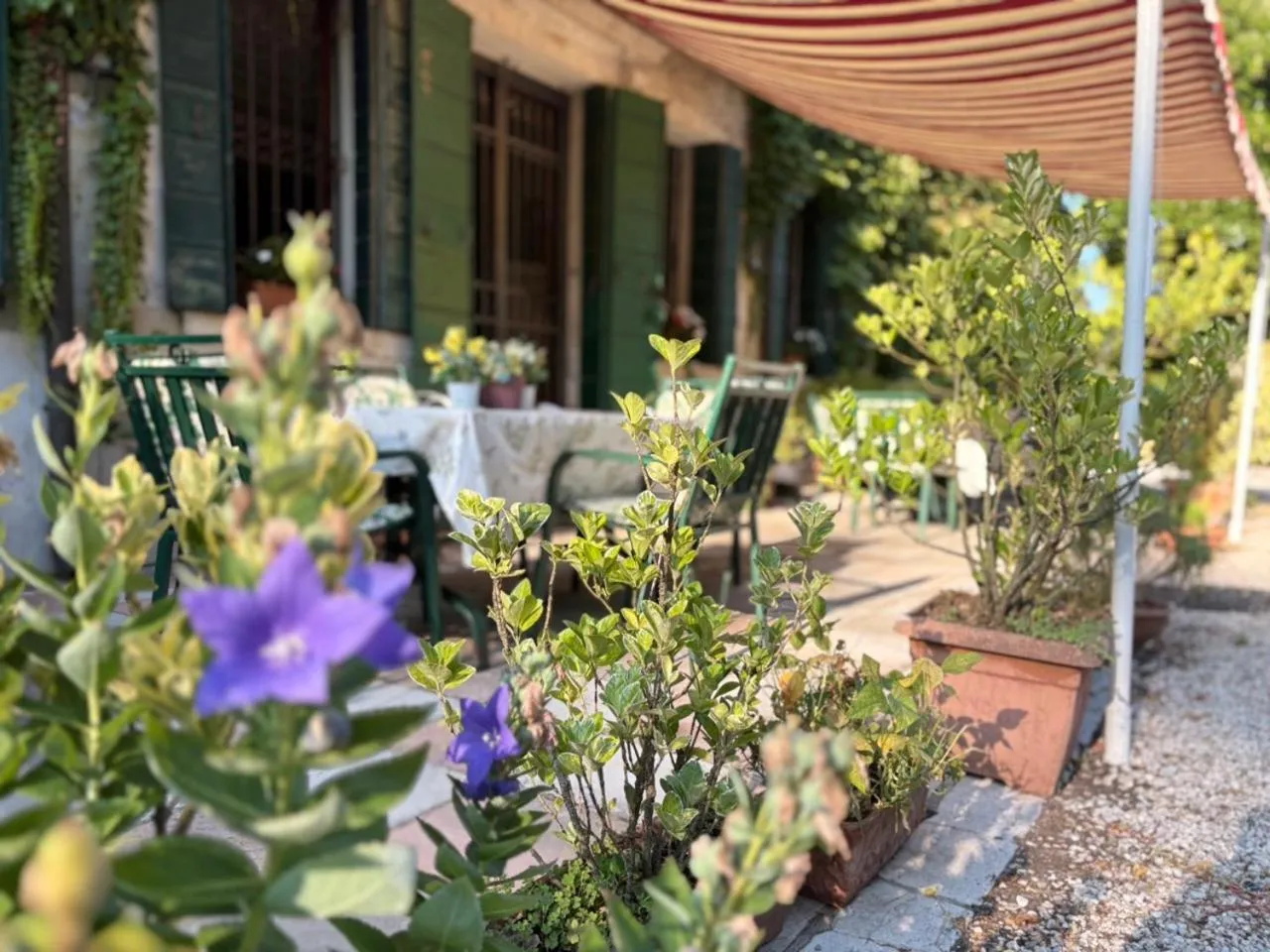 Facade/entrance in B&B Villa Gradenigo
