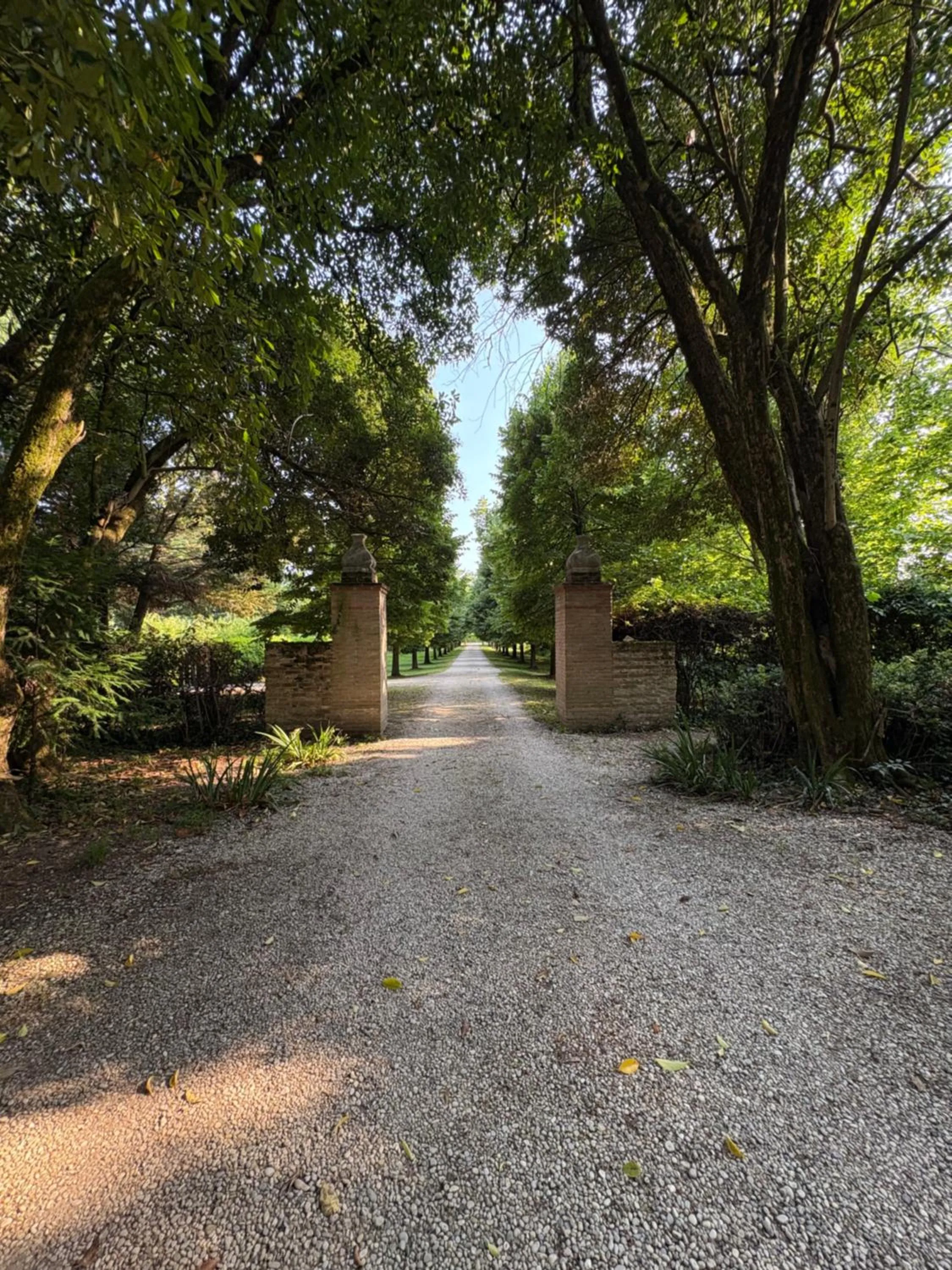 Garden in B&B Villa Gradenigo