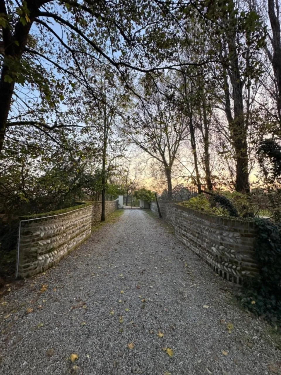 Natural landscape in B&B Villa Gradenigo