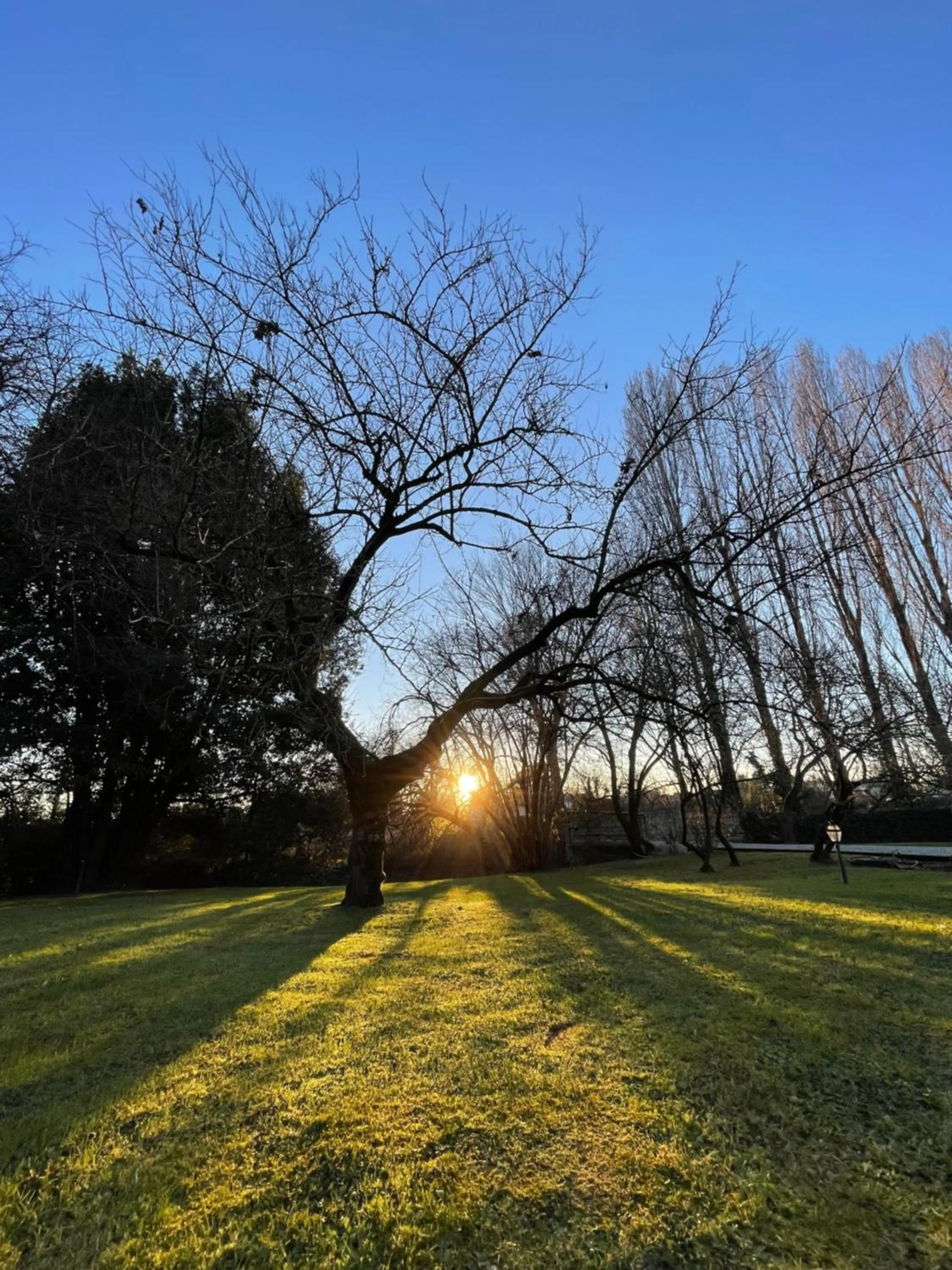 Spring in B&B Villa Gradenigo