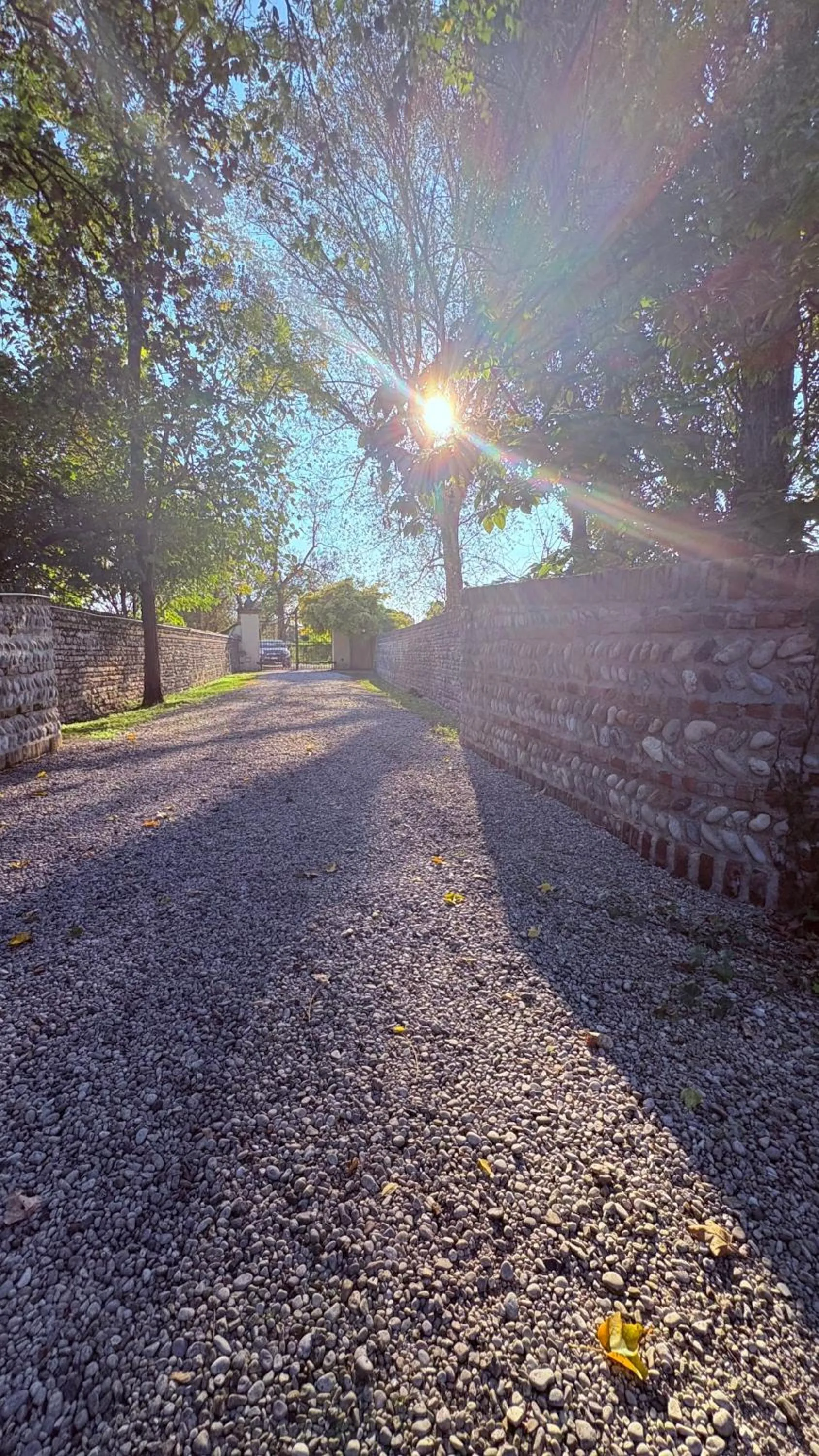 Garden in B&B Villa Gradenigo