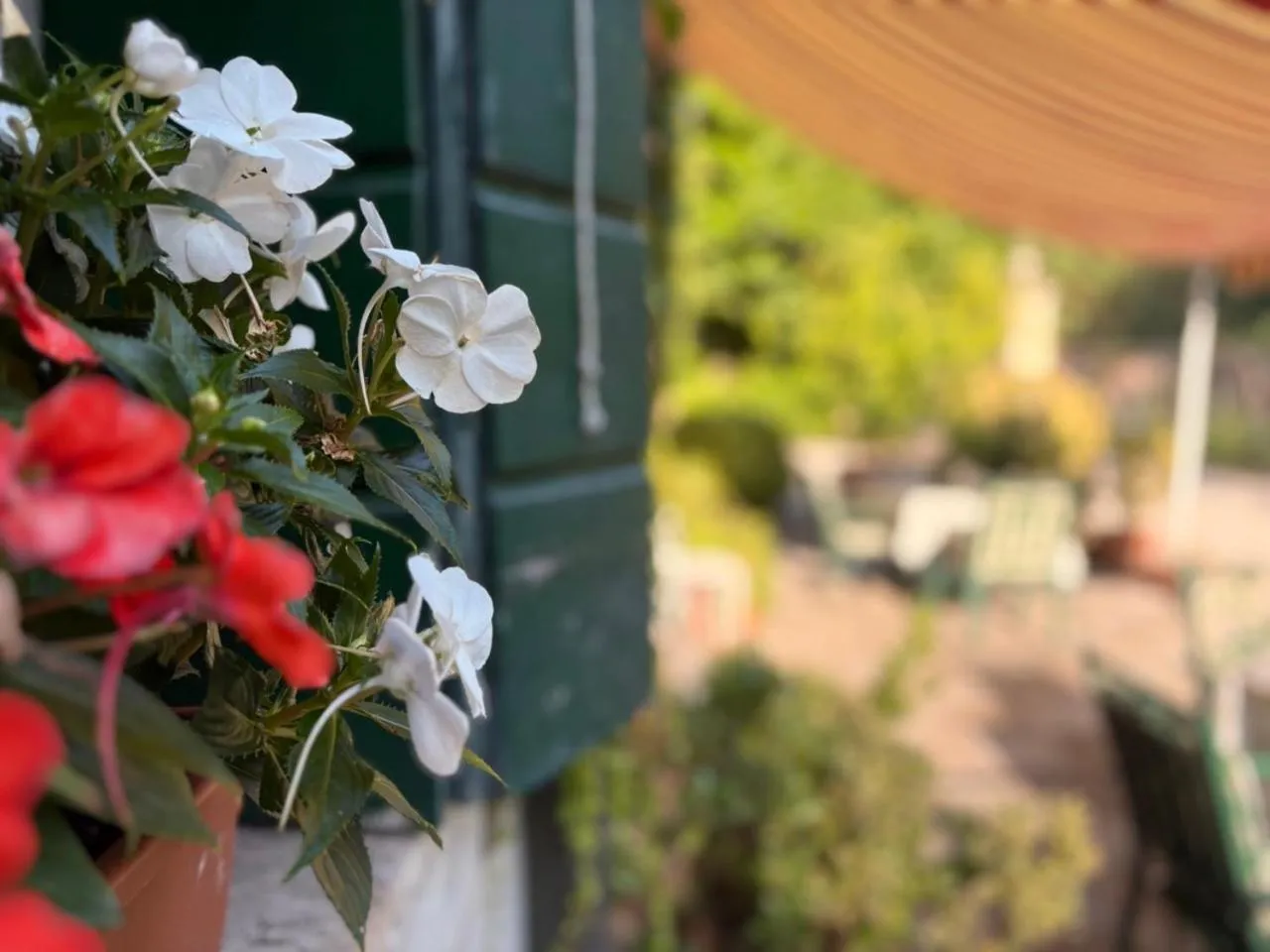 Garden in B&B Villa Gradenigo